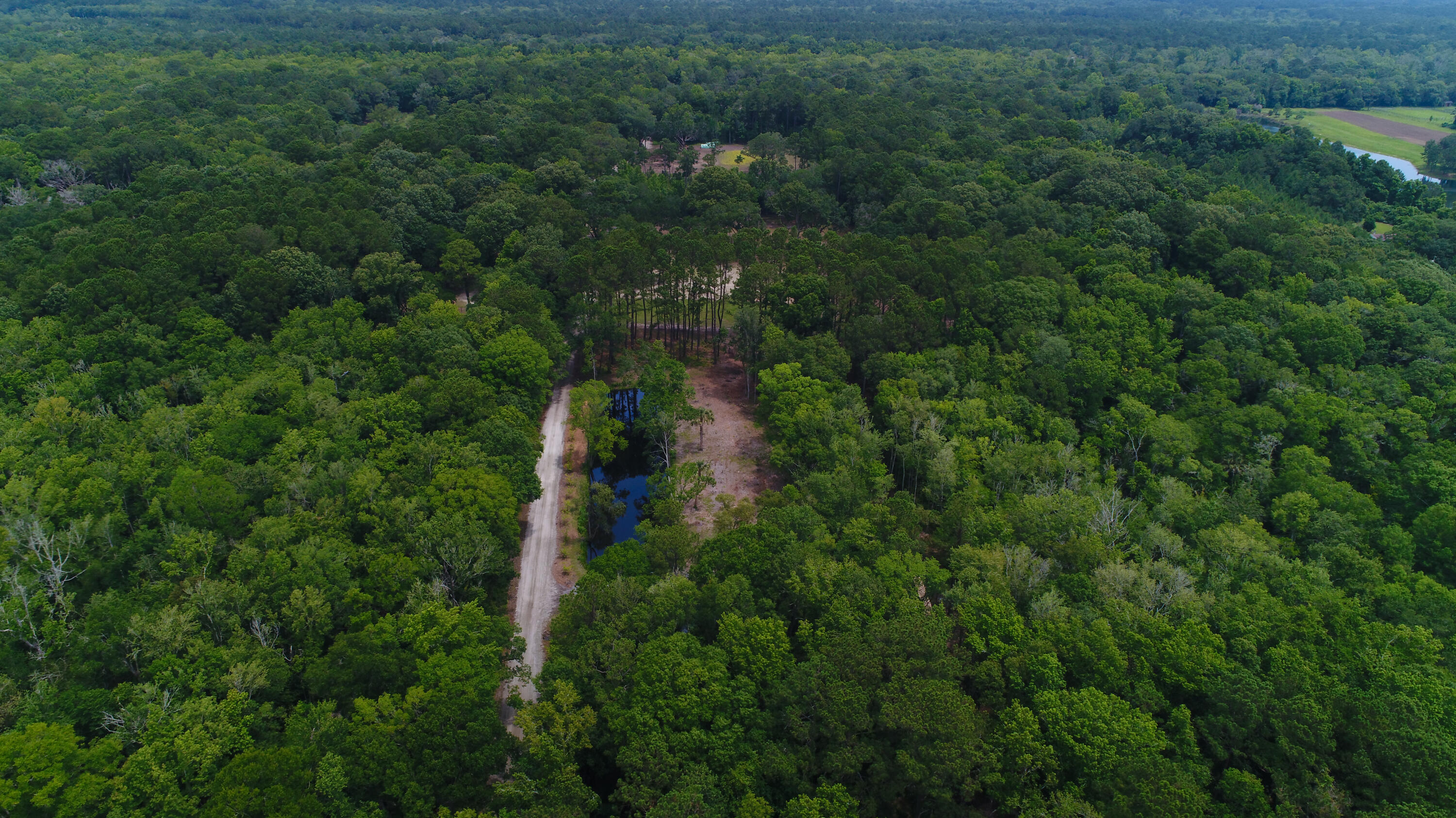 4160 River Road Johns Island, SC 29455 - Photo 13 of 37 5017-1247