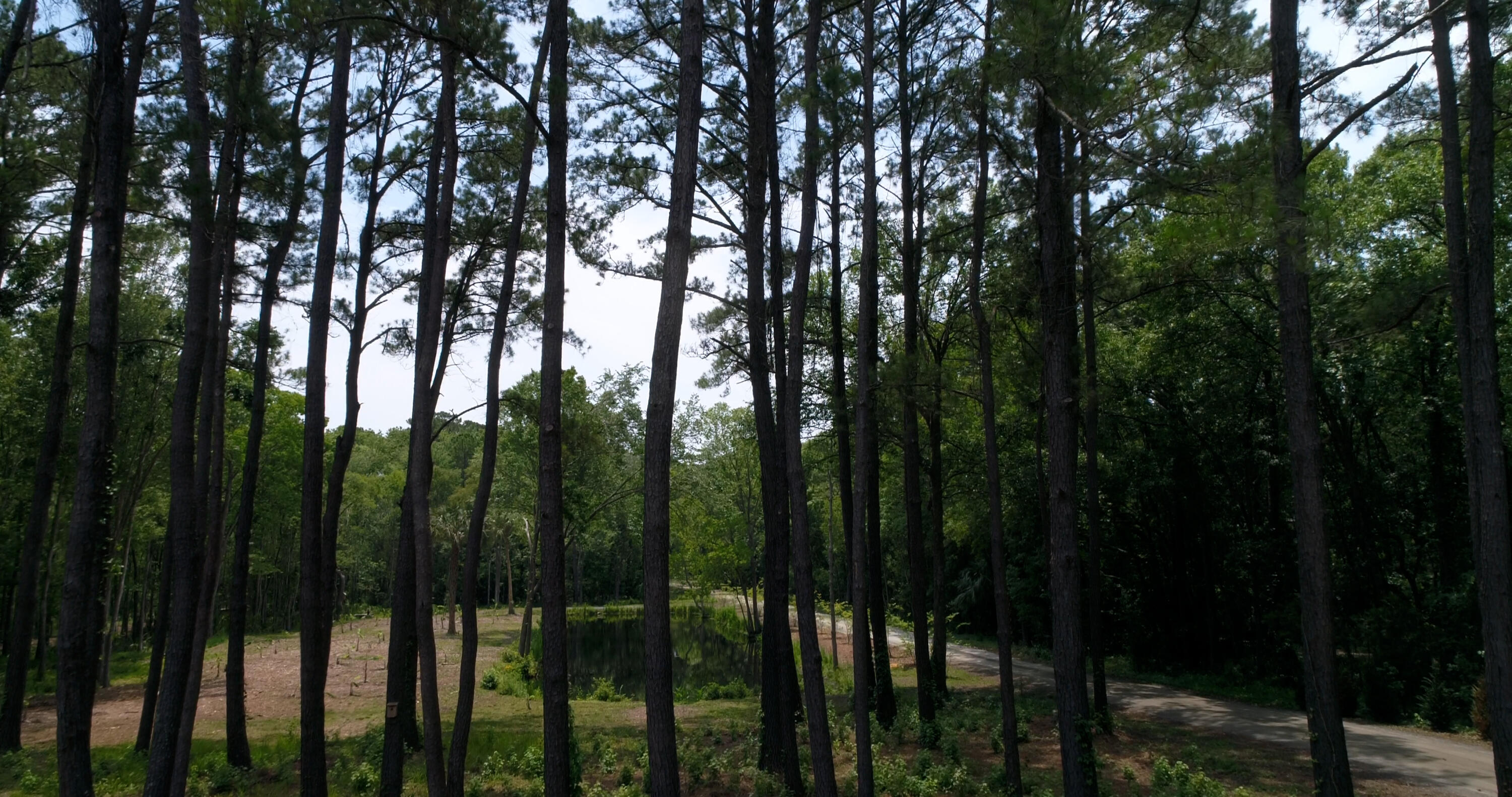 4160 River Road Johns Island, SC 29455 - Photo 14 of 37 DJI_0055.MOV.00_00_27_10.Still001