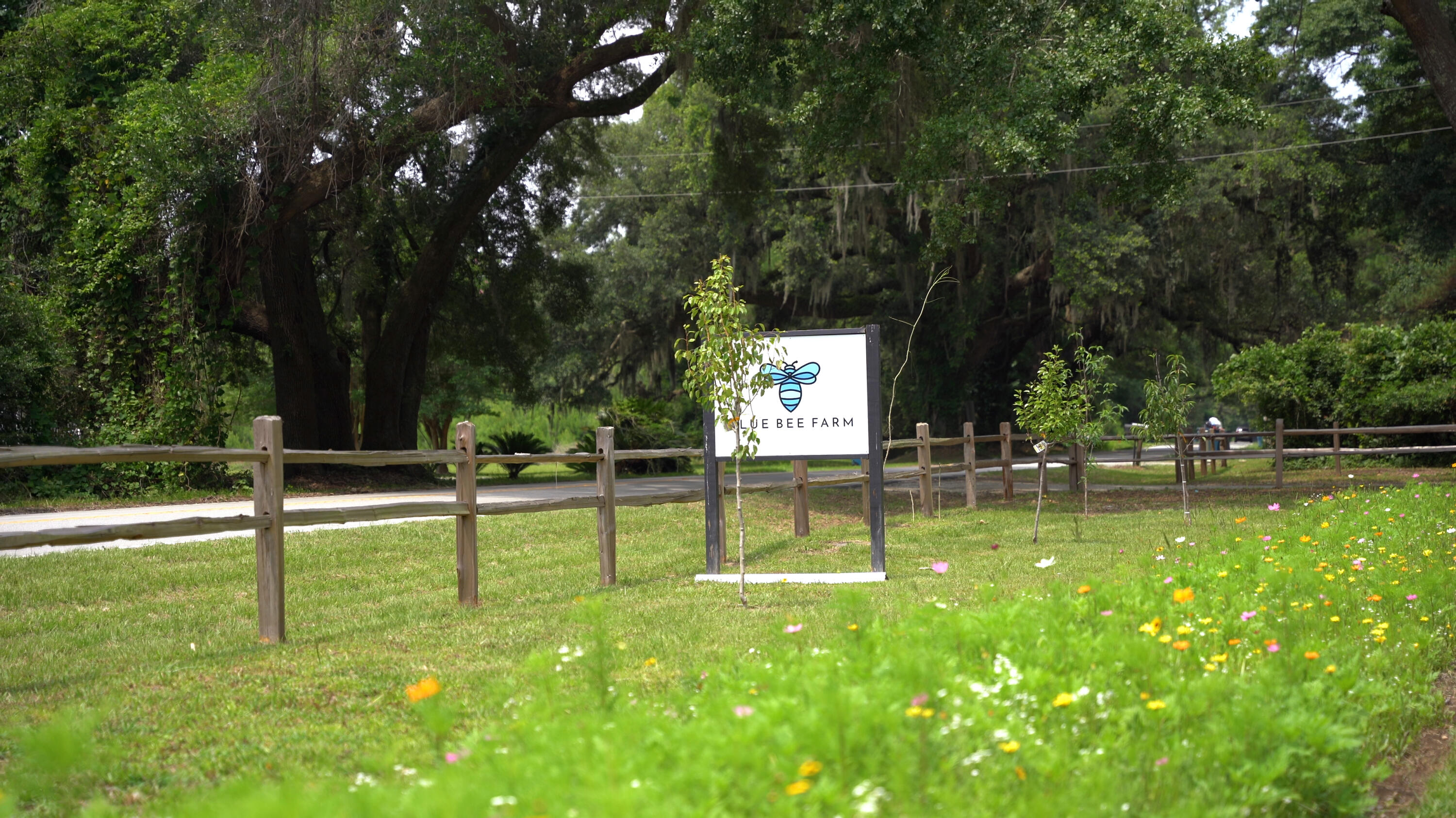 4160 River Road Johns Island, SC 29455 - Photo 2 of 37 image 6