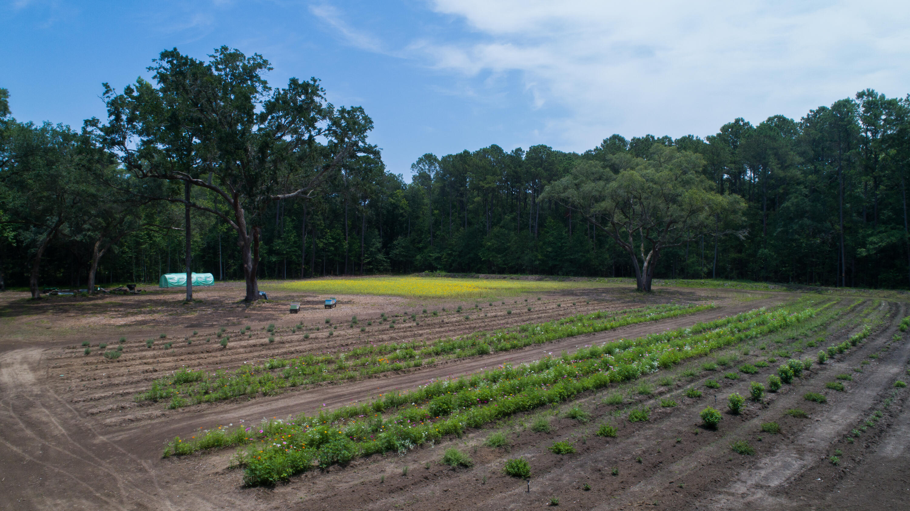 4160 River Road Johns Island, SC 29455 - Photo 22 of 37 5017-1241