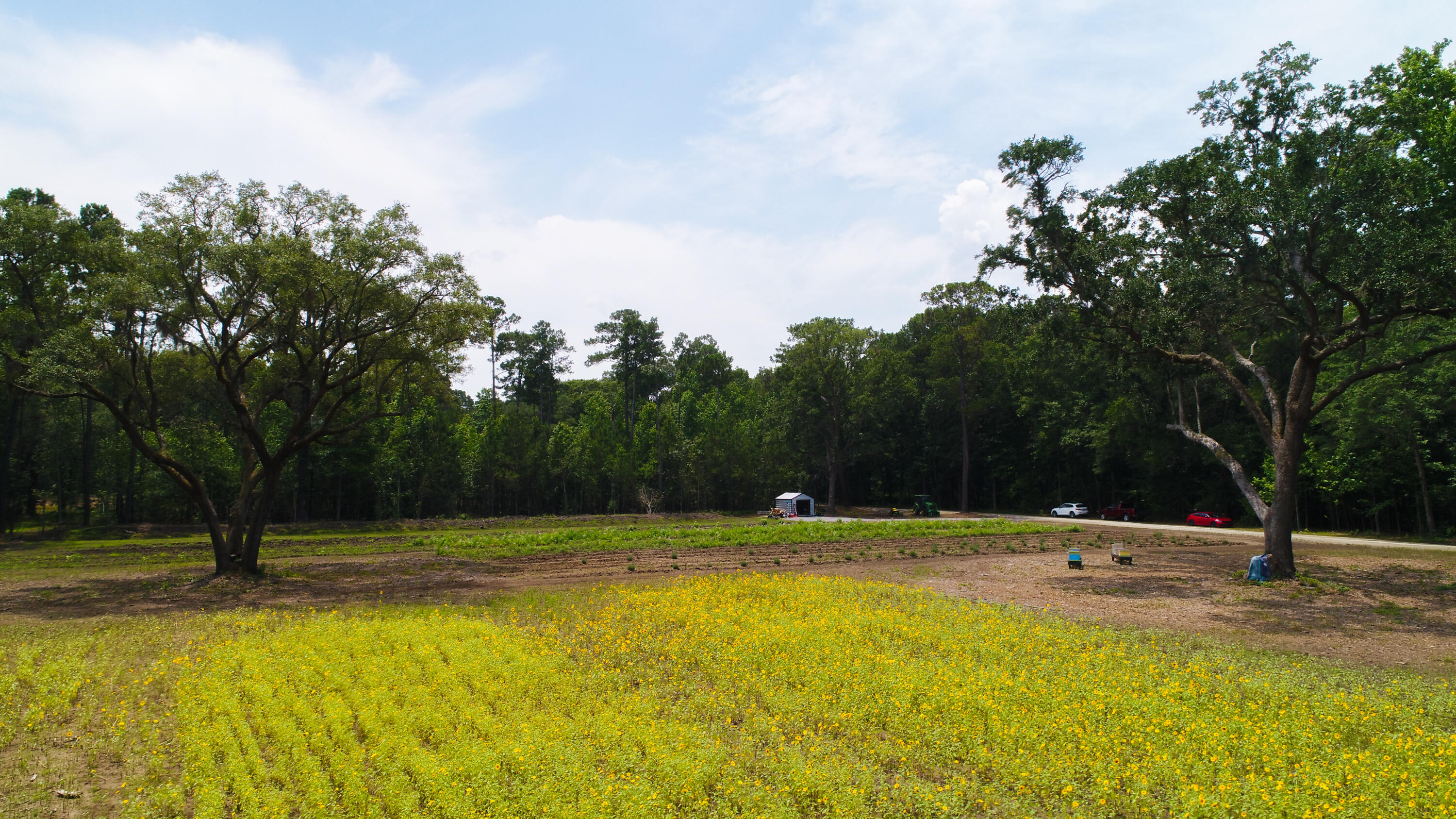4160 River Road Johns Island, SC 29455 - Photo 24 of 37 5017-1240