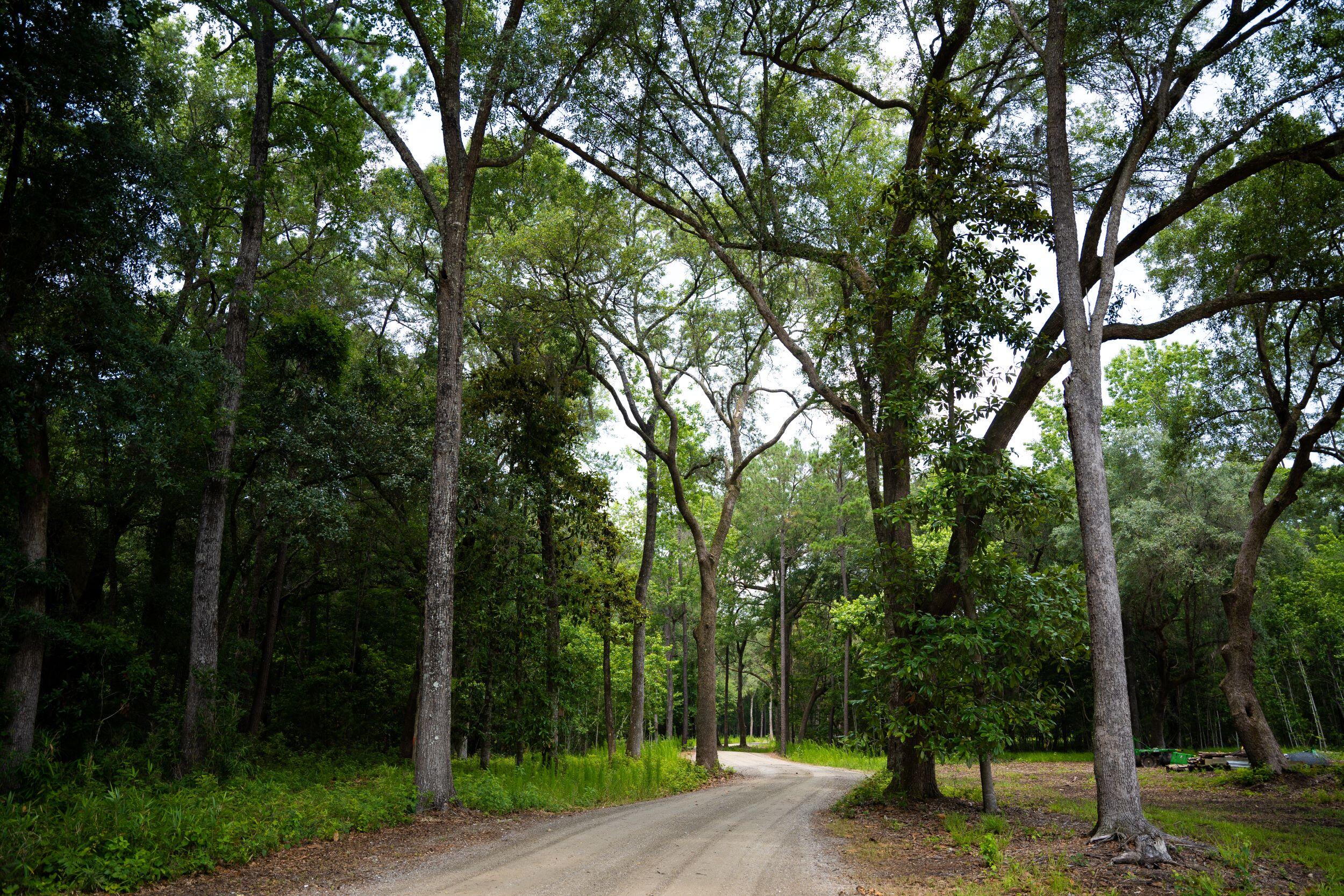 4160 River Road Johns Island, SC 29455 - Photo 29 of 37 5017-1260-2