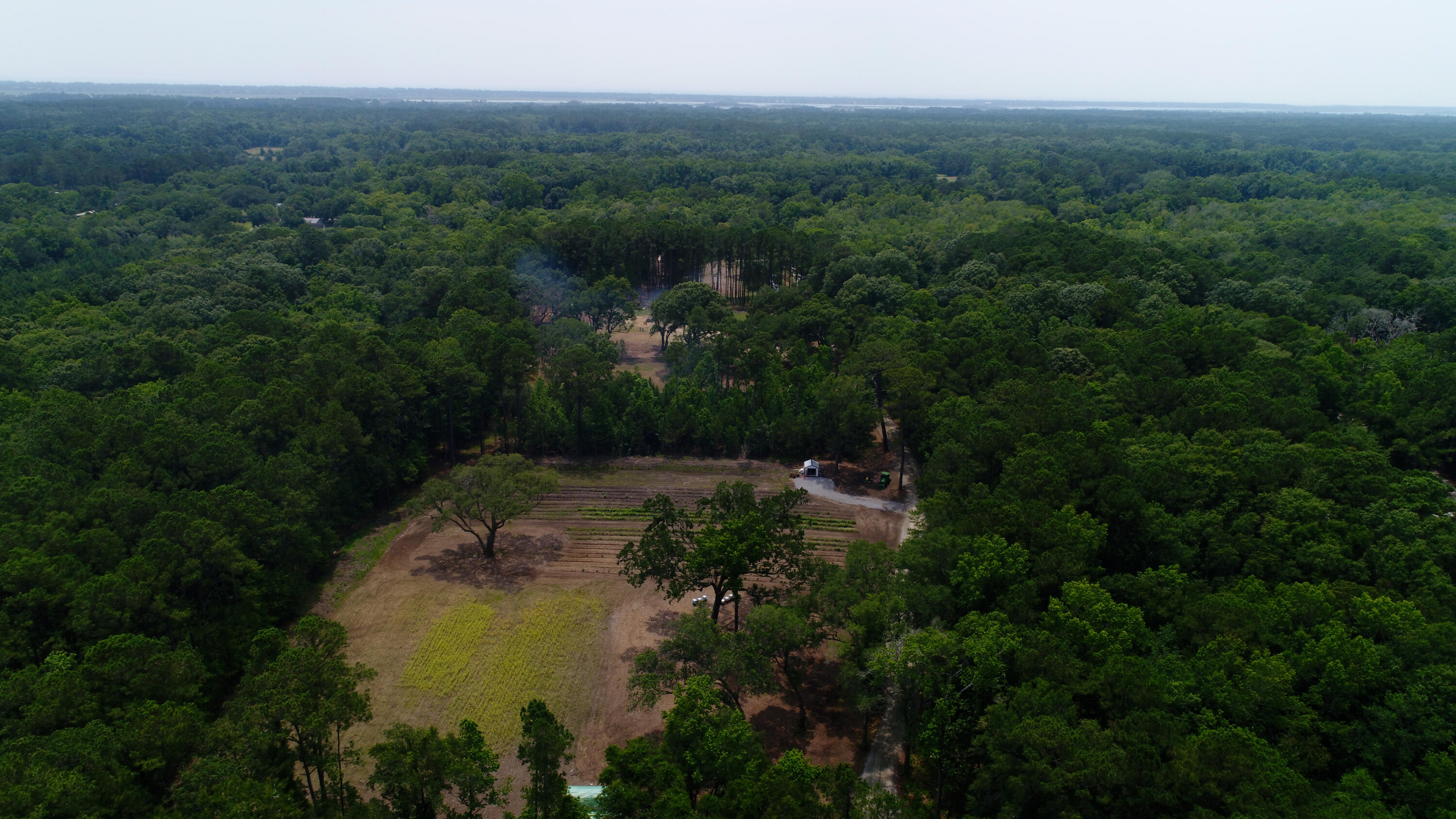 4160 River Road Johns Island, SC 29455 - Photo 34 of 37 DJI_0051.JPG.00_00_00_00.Still001