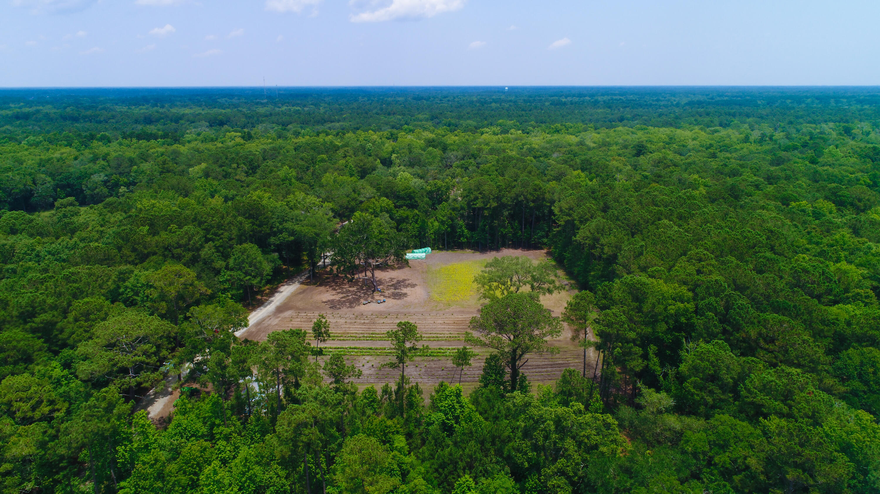 4160 River Road Johns Island, SC 29455 - Photo 36 of 37 5017-1249