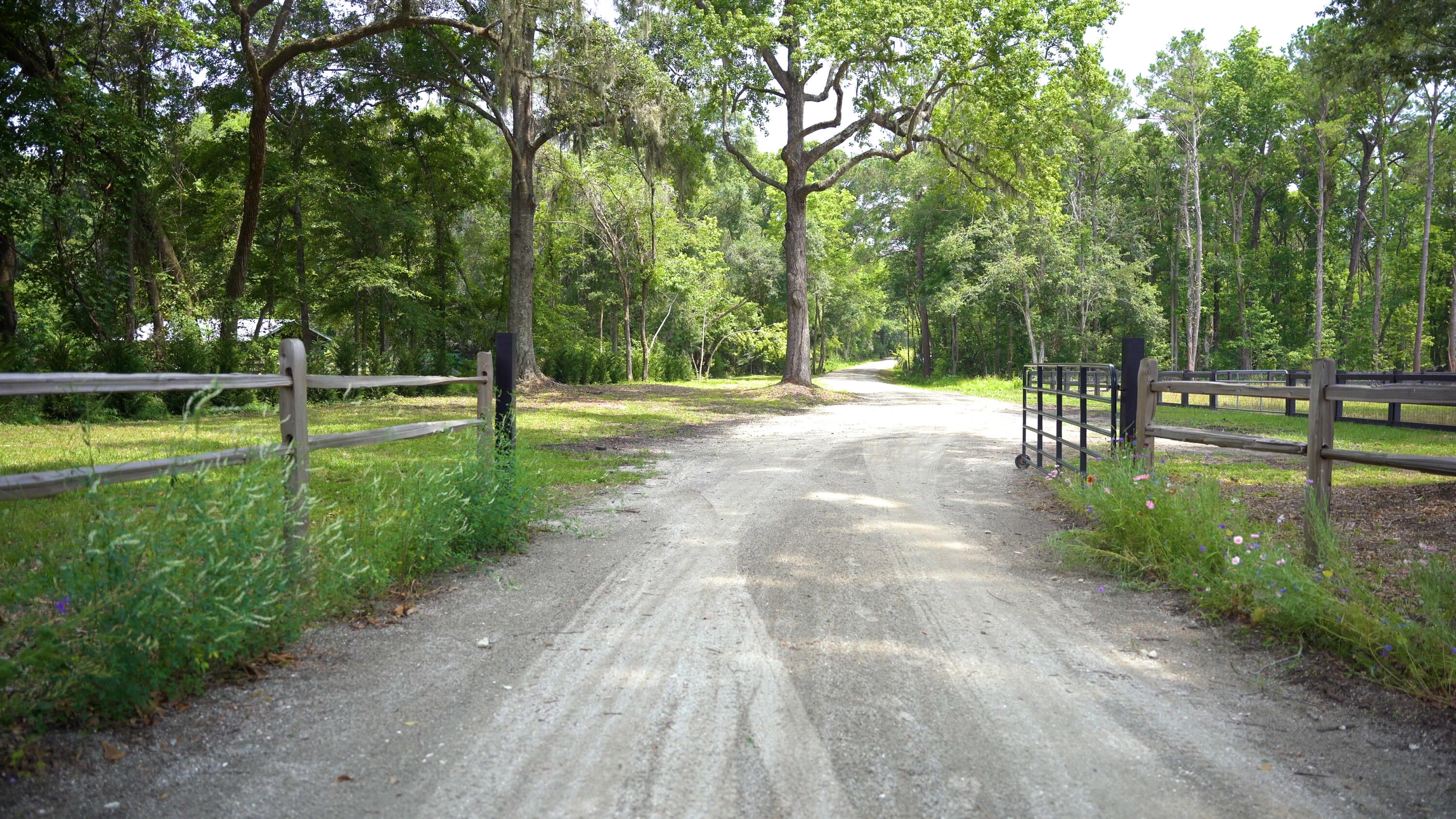 4160 River Road Johns Island, SC 29455 - Photo 5 of 37 image 5