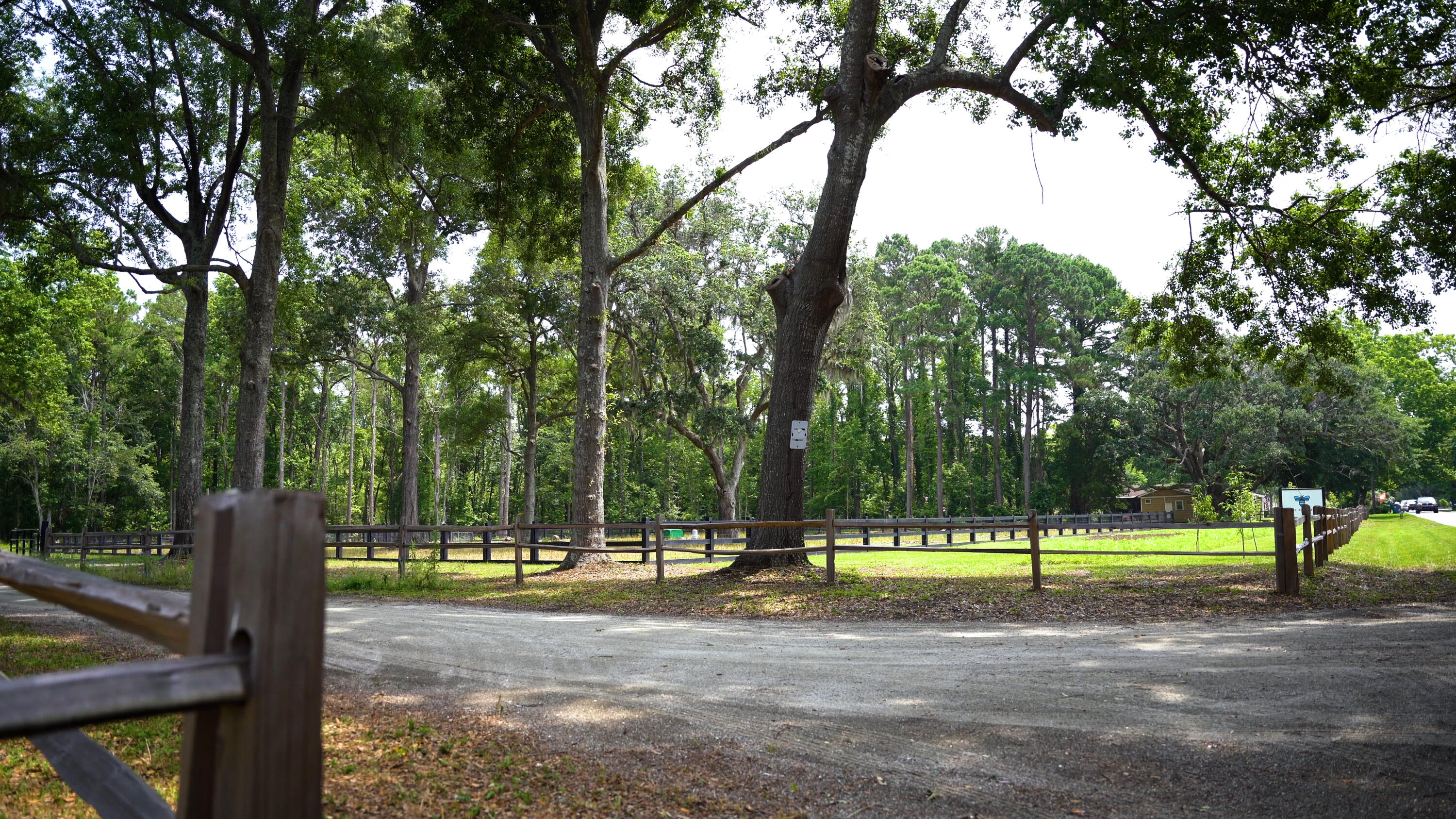 4160 River Road Johns Island, SC 29455 - Photo 6 of 37 image 2