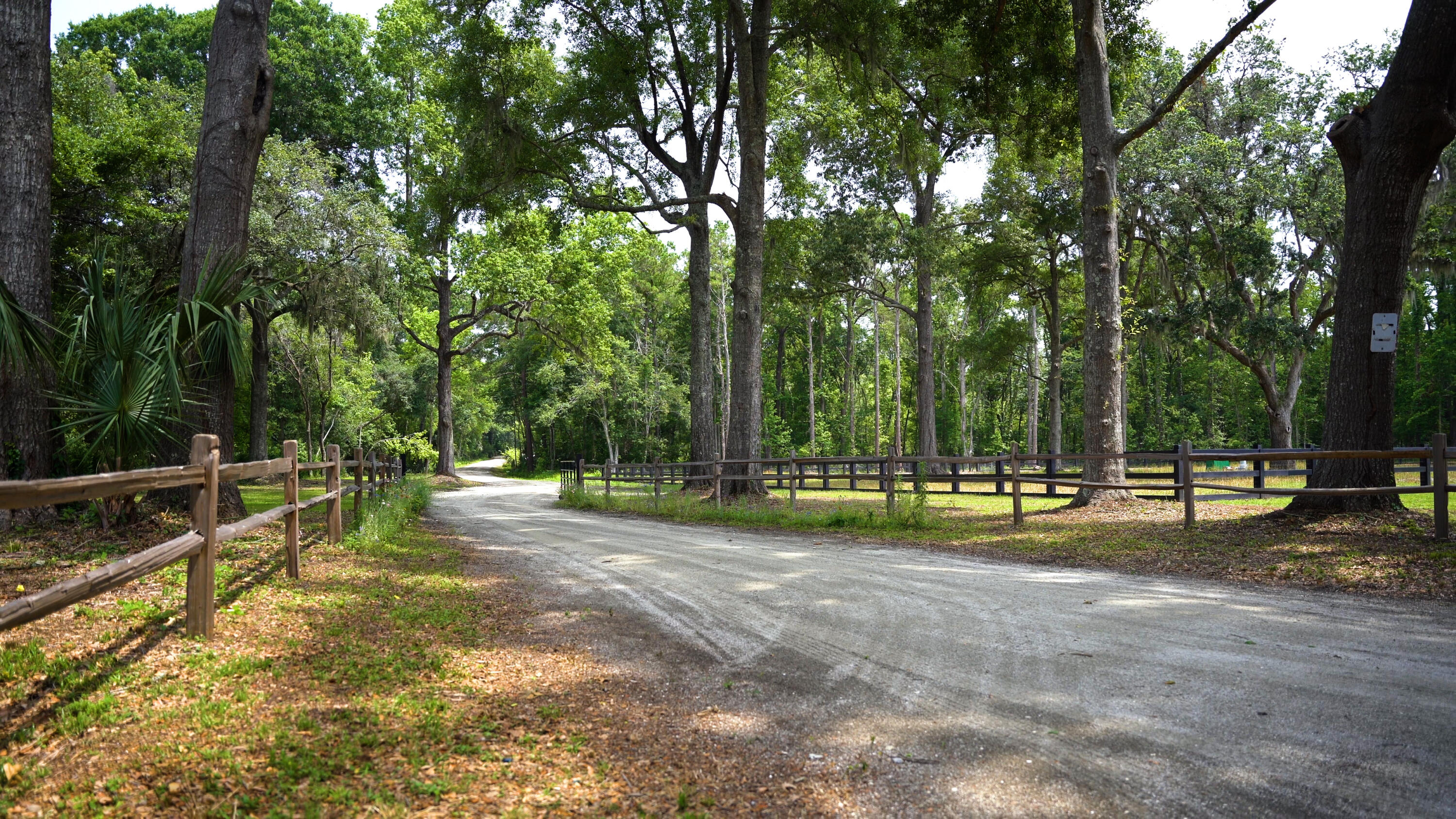 4160 River Road Johns Island, SC 29455 - Photo 7 of 37 image 3