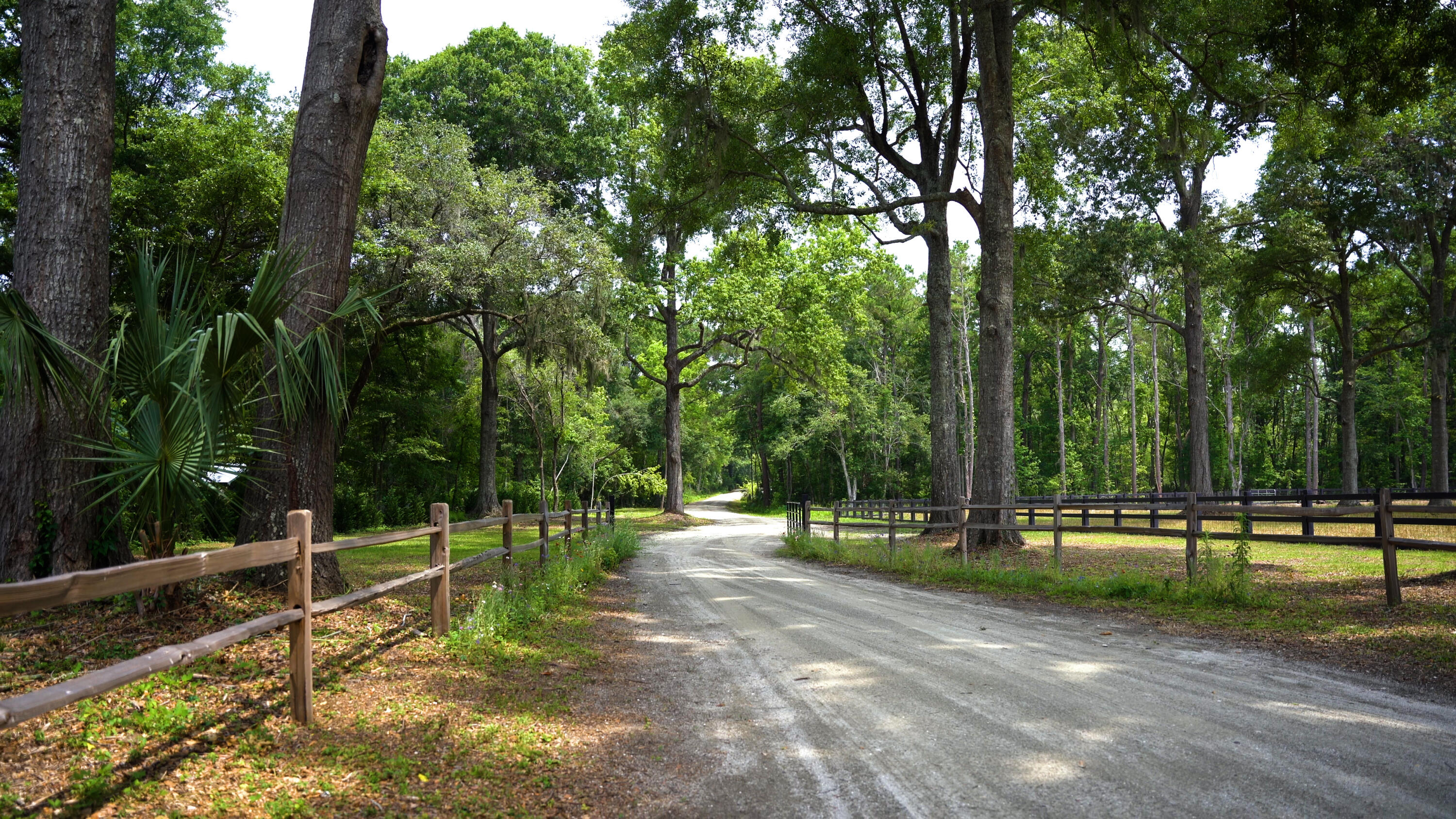 4160 River Road Johns Island, SC 29455 - Photo 8 of 37 image 4