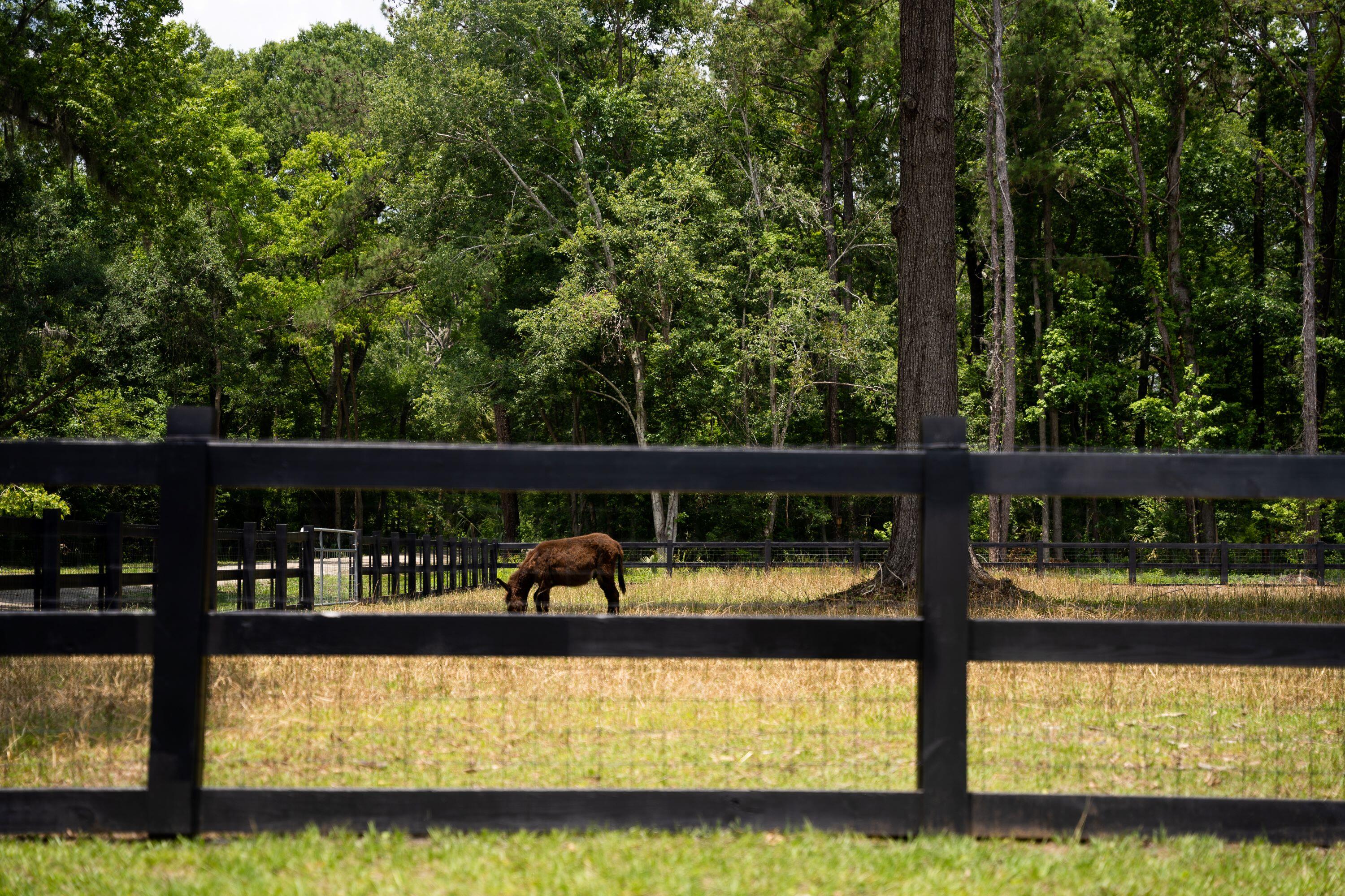 4160 River Road Johns Island, SC 29455 - Photo 9 of 37 5017-1253-2
