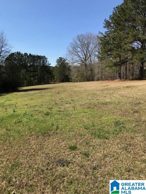 7015 Highway 71 Shelby, AL 35143 - Photo 50 of 50