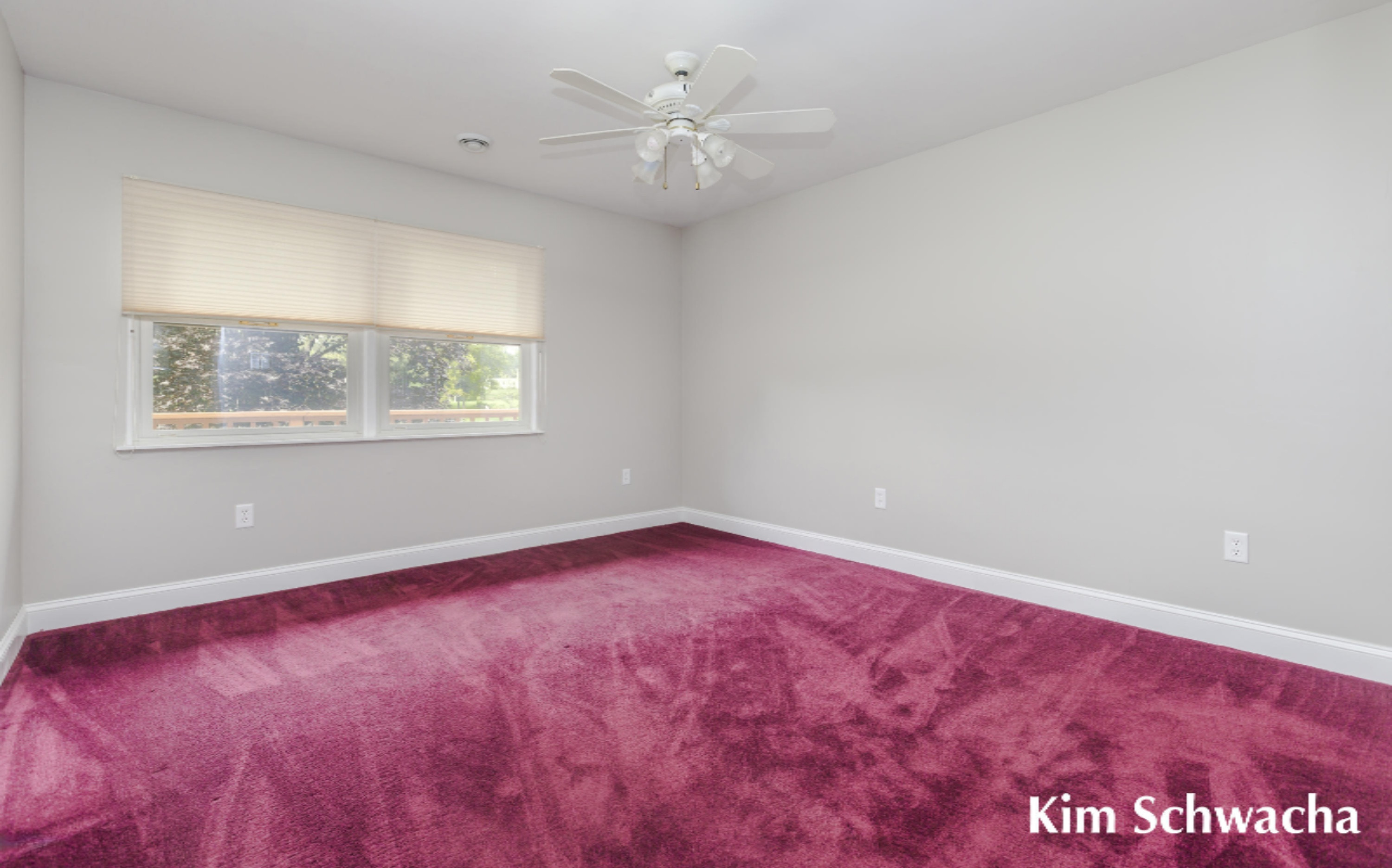 3476 Whites Bridge Road Lowell, MI 49331 - Photo 13 of 31 Kim Schwacha-Whites Bridge Road-13