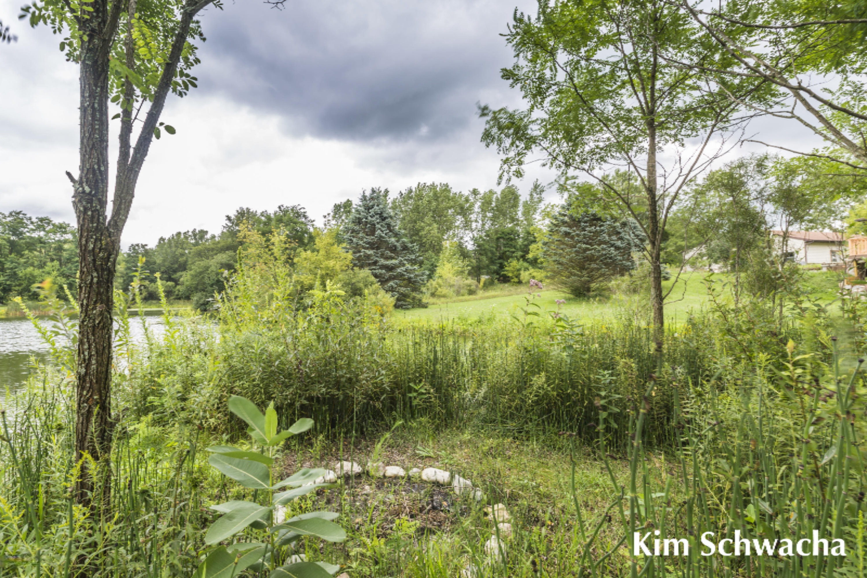 3476 Whites Bridge Road Lowell, MI 49331 - Photo 25 of 31 Kim Schwacha-Whites Bridge Road-25