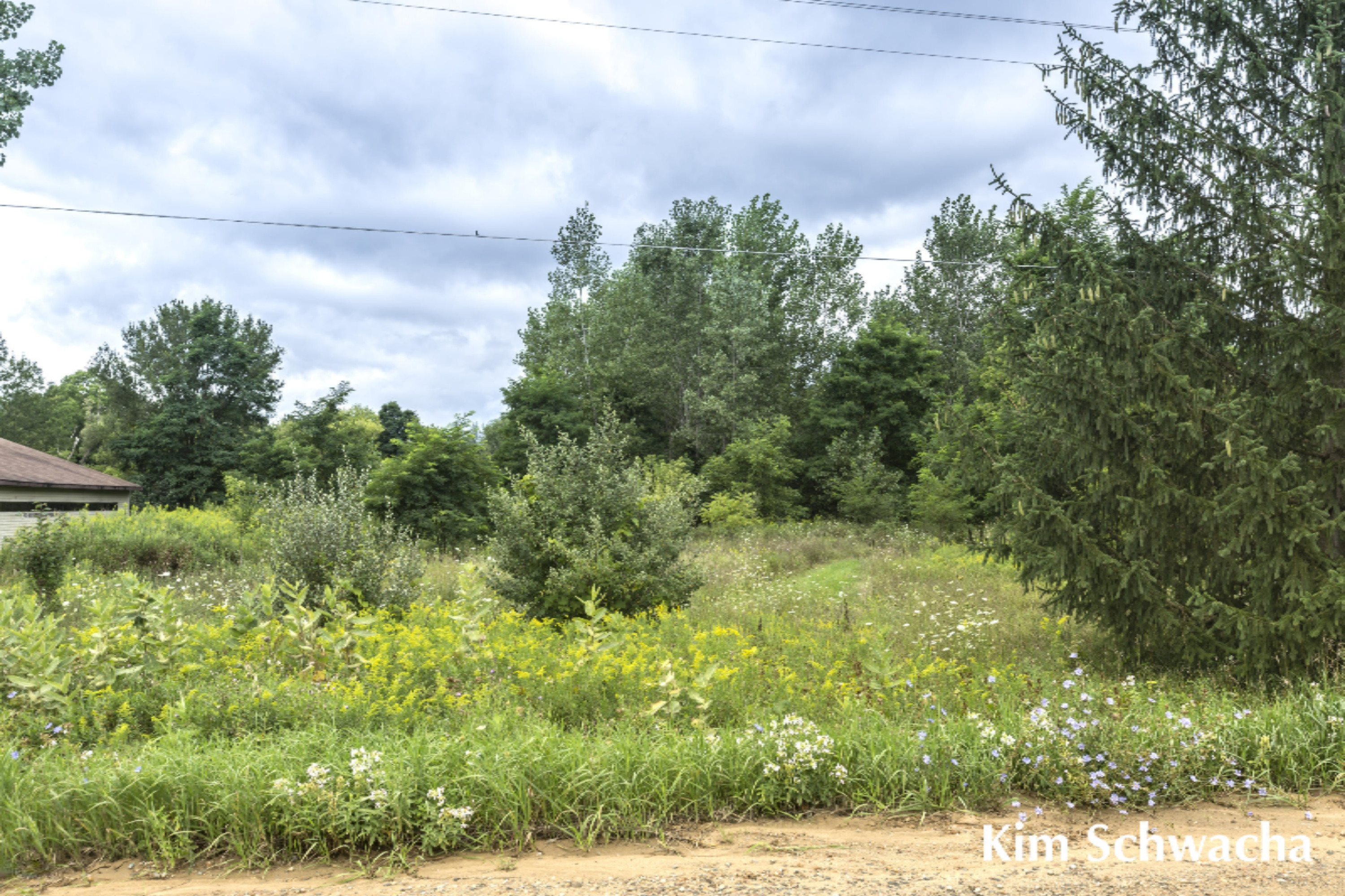 3476 Whites Bridge Road Lowell, MI 49331 - Photo 28 of 31 Kim Schwacha-Whites Bridge Road-28