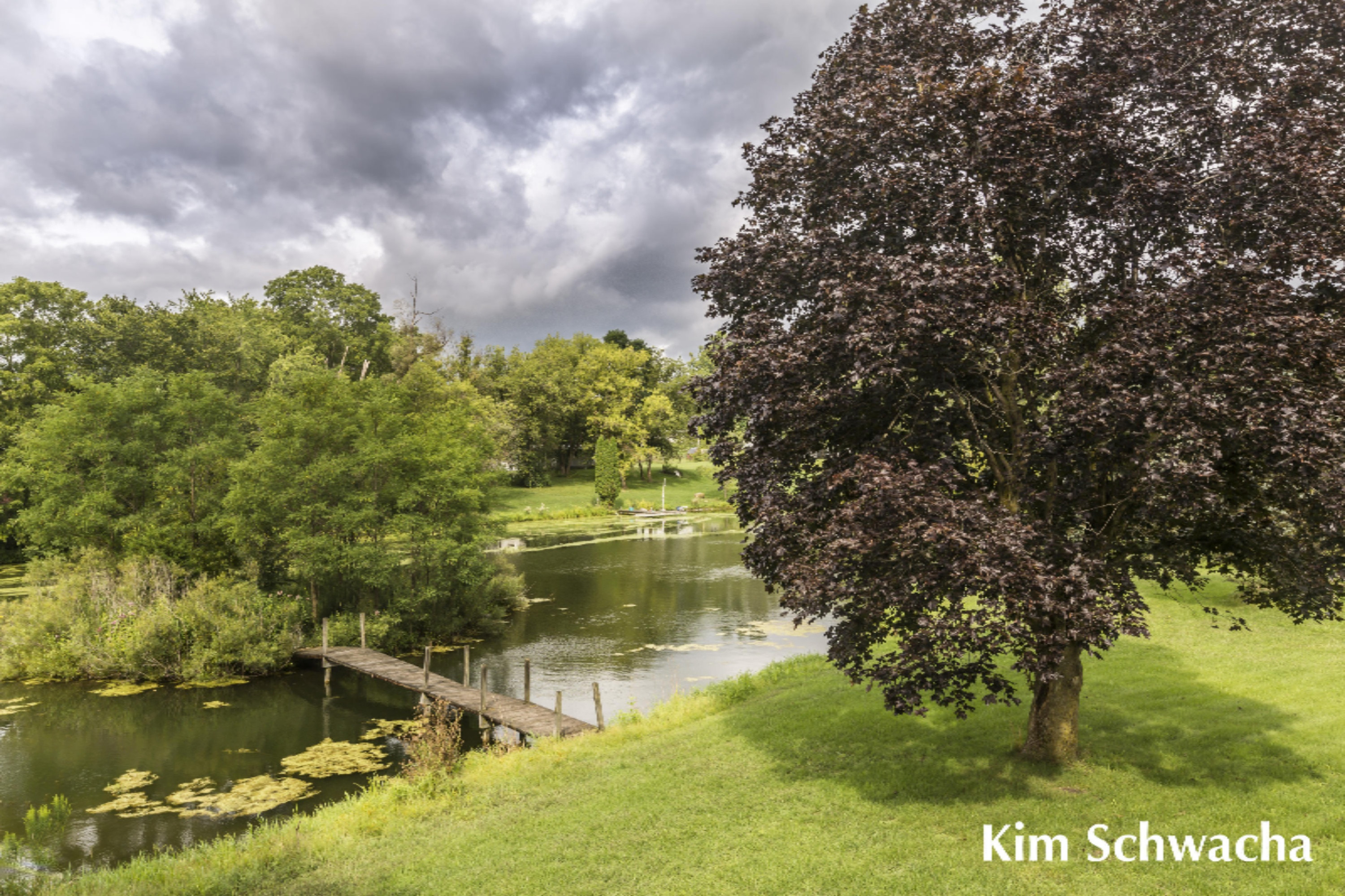 3476 Whites Bridge Road Lowell, MI 49331 - Photo 6 of 31 Kim Schwacha-Whites Bridge Road-6