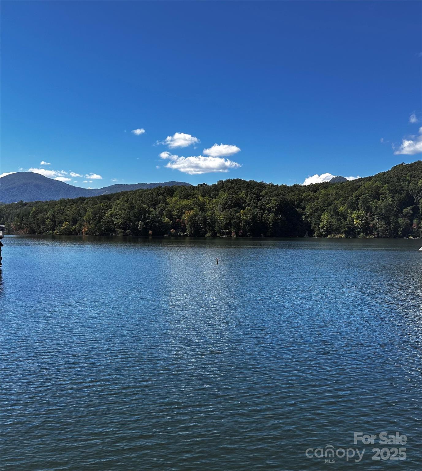 302 Ridge Road Lake Lure, NC 28746 - Photo 3 of 14 Gallery Image 3