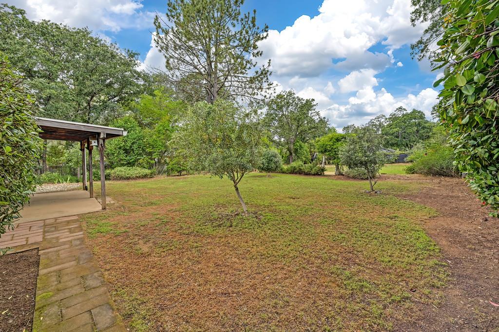 6689 Rhodes Avenue Placerville, CA 95667 - Photo 41 of 60 a view of a yard with a tree