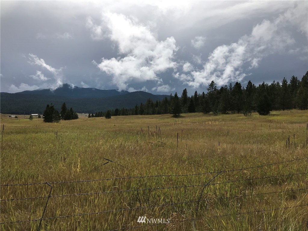 111 Summer Road Tonasket, WA 98855 - Photo 1 of 17 Gallery Image 1