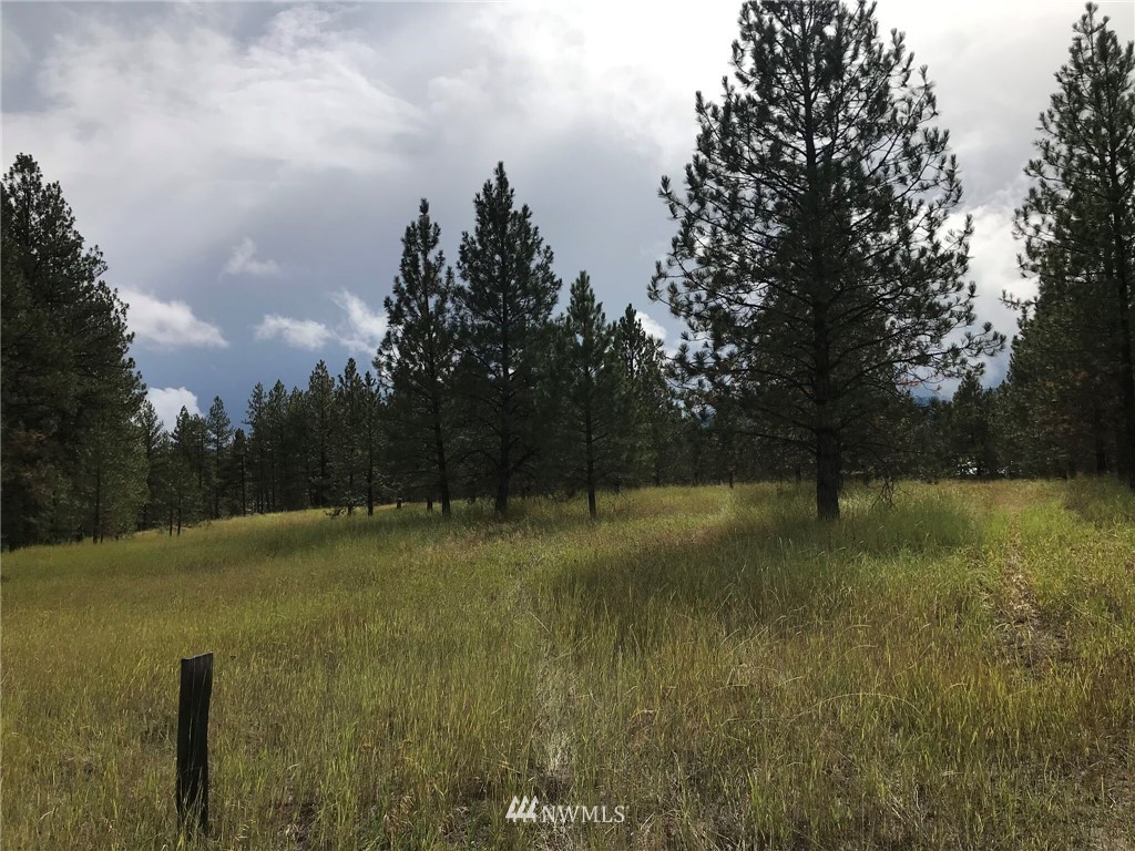 111 Summer Road Tonasket, WA 98855 - Photo 4 of 17 Gallery Image 4