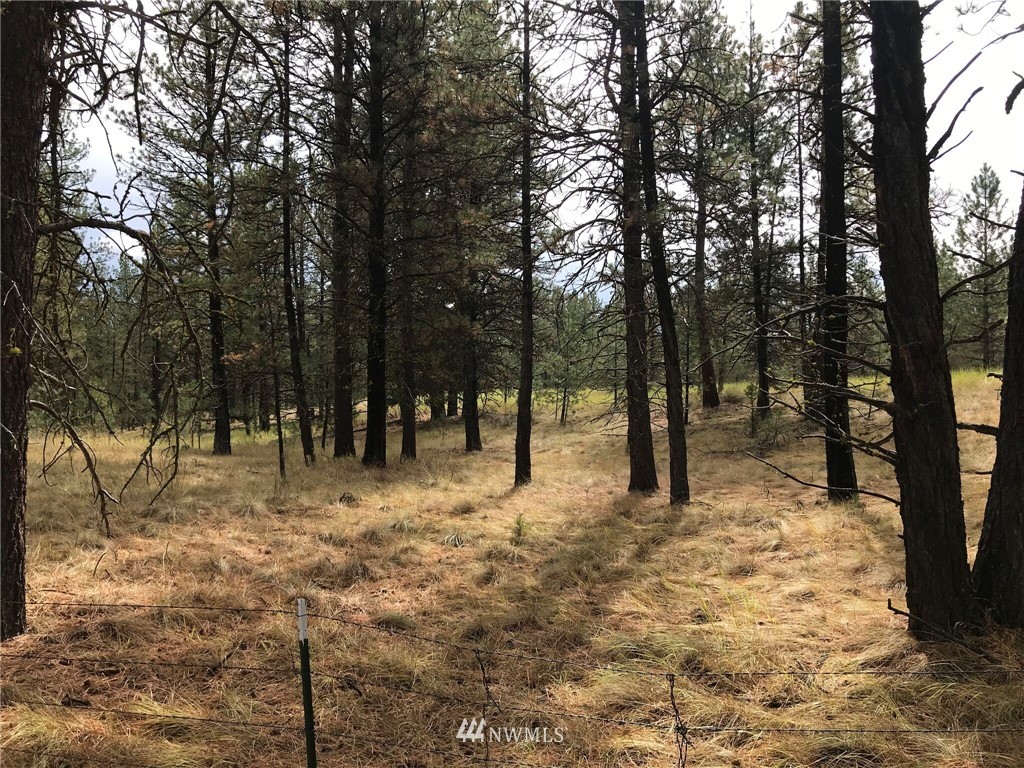 111 Summer Road Tonasket, WA 98855 - Photo 5 of 17 Gallery Image 5