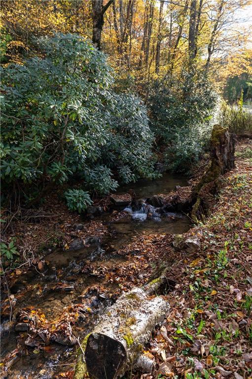 520 Chestnut Mountain Road Spruce Pine, NC 28777 - Photo 30 of 30 Gallery Image 30