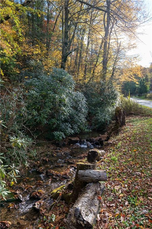 520 Chestnut Mountain Road Spruce Pine, NC 28777 - Photo 4 of 30 Gallery Image 4