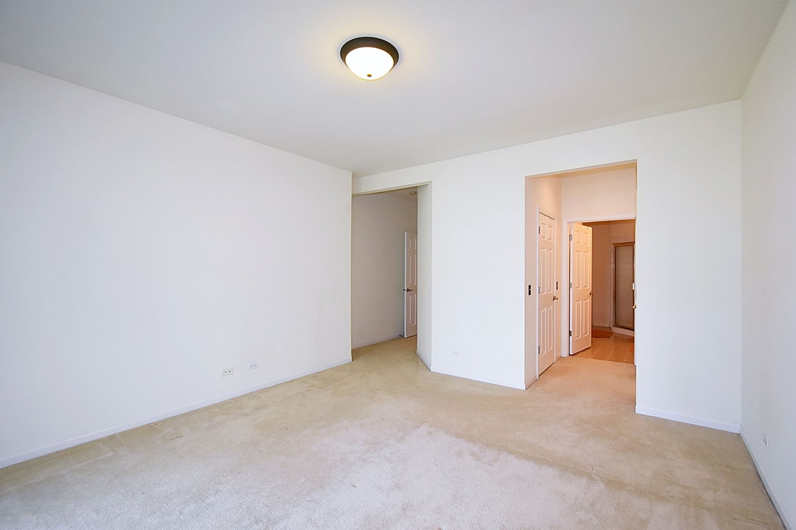 160 Orchards Pass Bartlett, IL 60103 - Photo 24 of 46 an empty room with closet