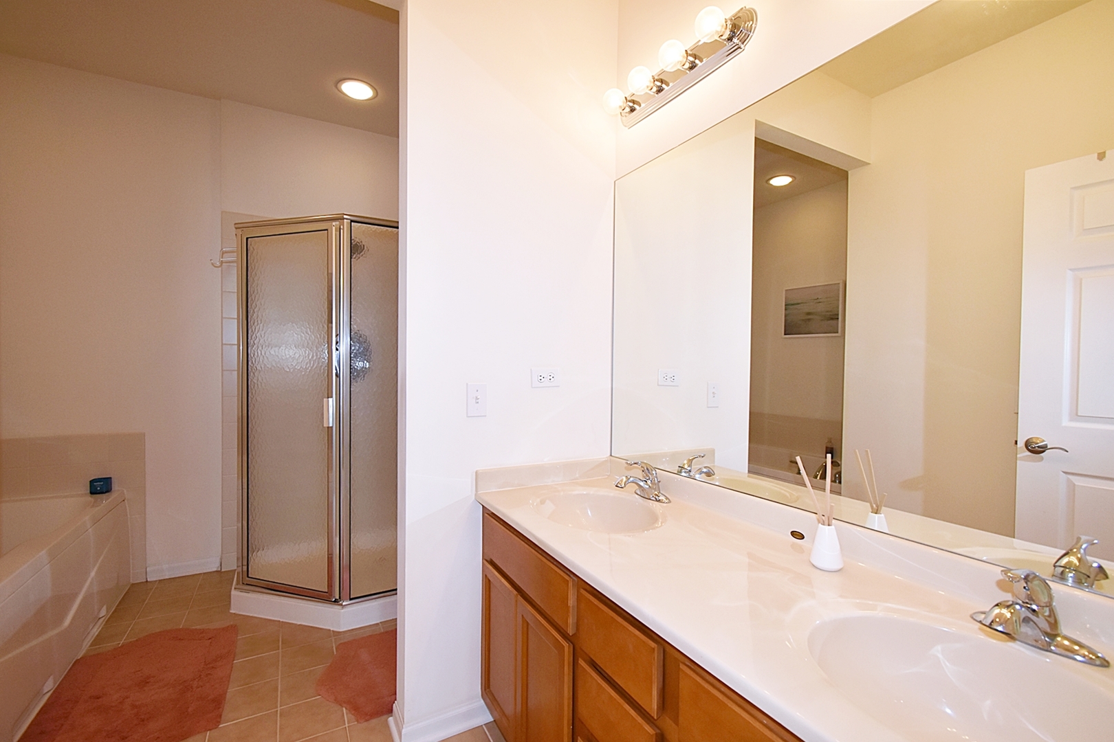 160 Orchards Pass Bartlett, IL 60103 - Photo 25 of 46 a bathroom with a sink and a mirror