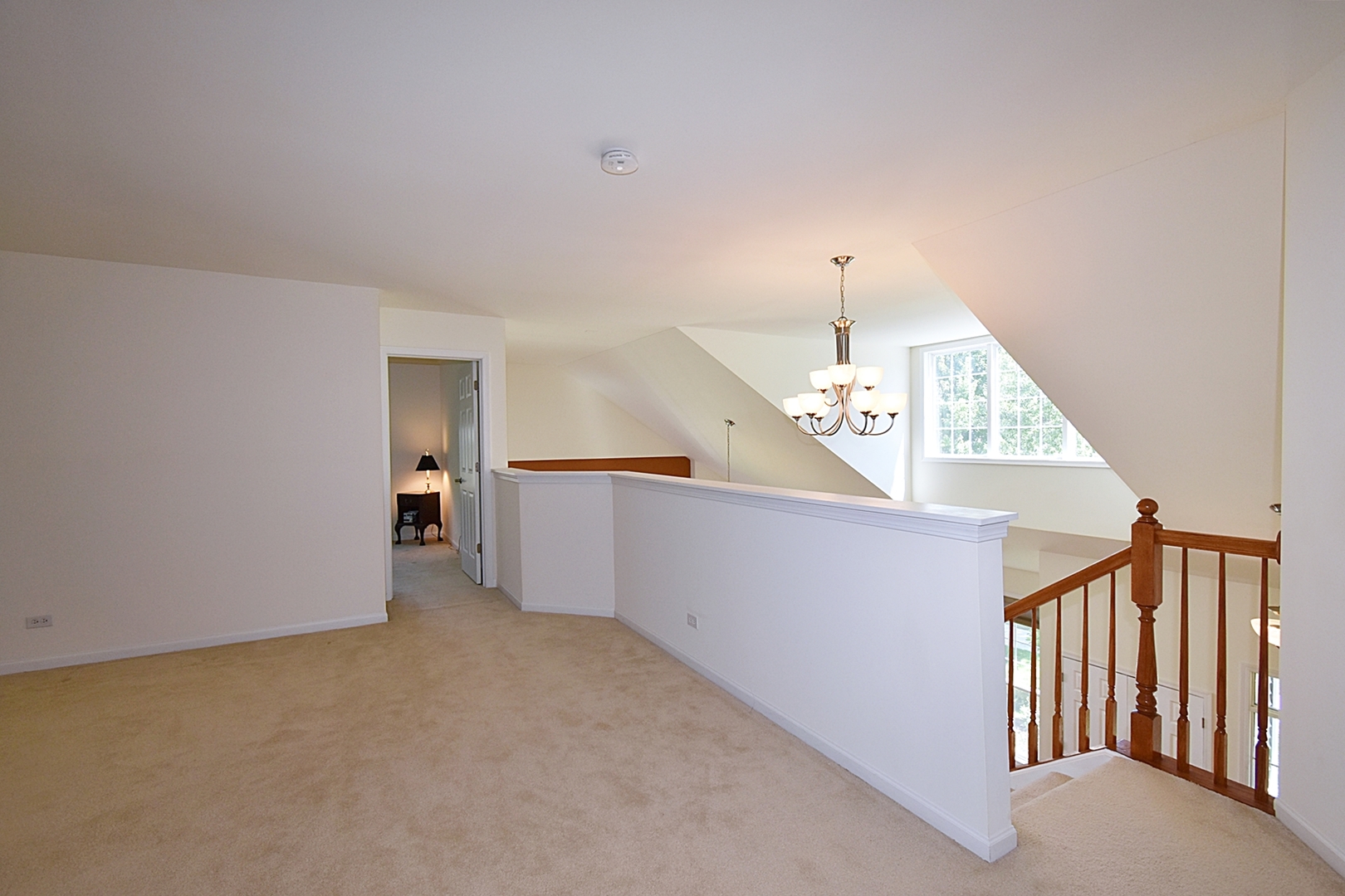 160 Orchards Pass Bartlett, IL 60103 - Photo 30 of 46 a view of a hallway with windows