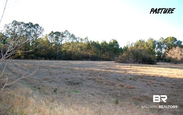 12050 Mary Ann Bch Road Fairhope, AL 36532 - Photo 8 of 44