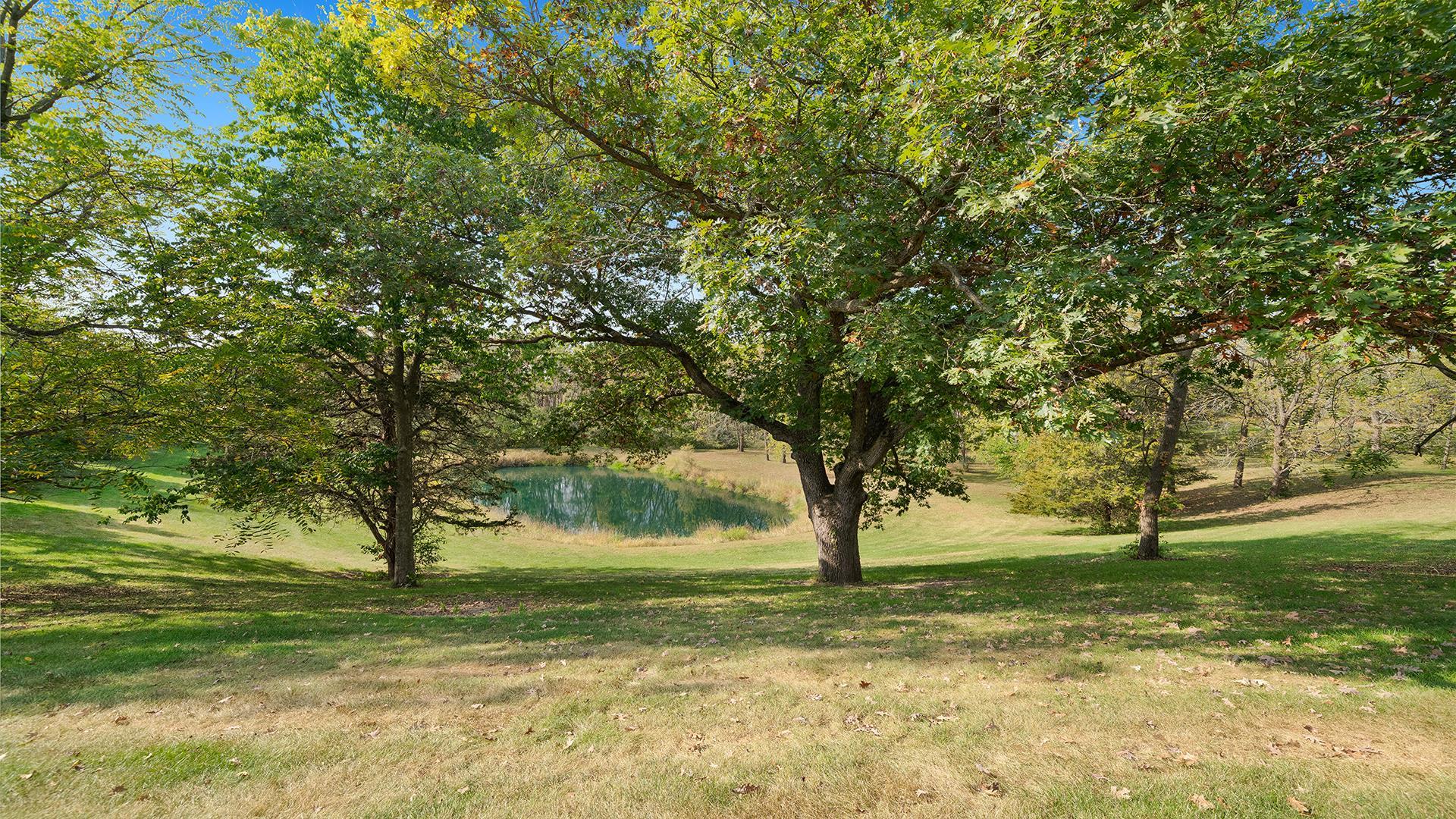 5810 West Lightsville Road Leaf River, IL 61047 - Photo 45 of 68 a view of a tree in the middle of a yard