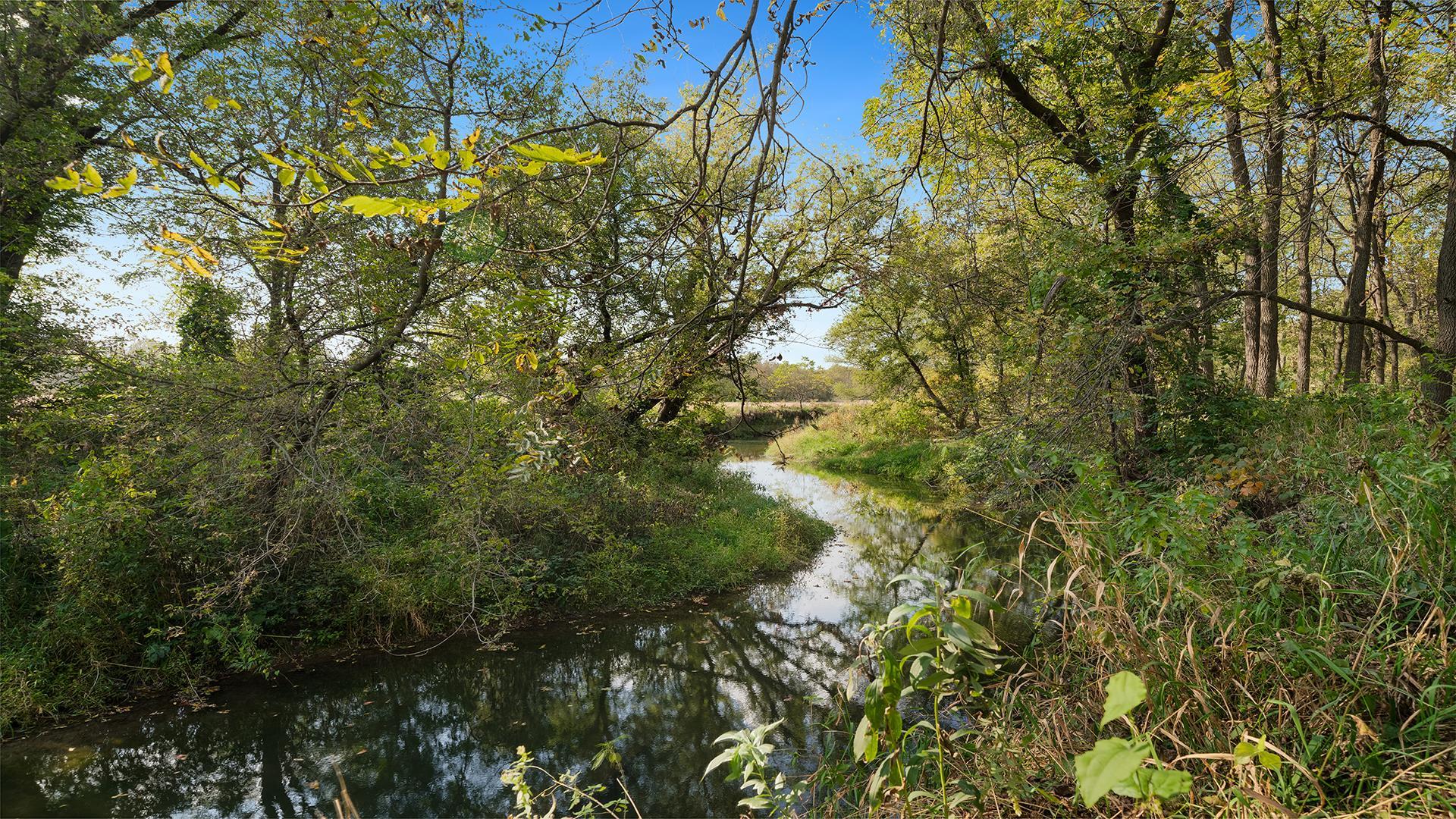 5810 West Lightsville Road Leaf River, IL 61047 - Photo 52 of 68 a view of a tree