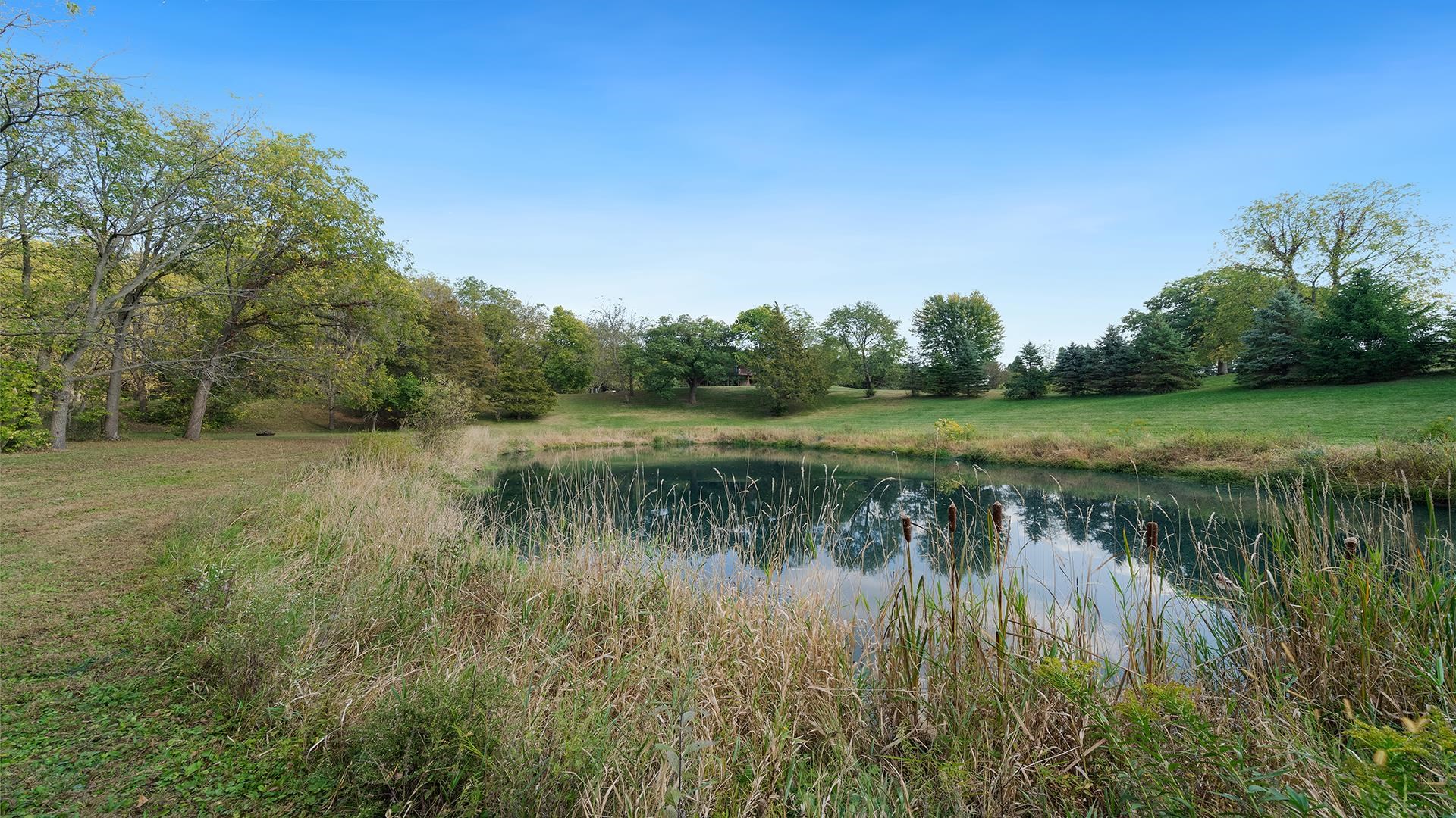 5810 West Lightsville Road Leaf River, IL 61047 - Photo 53 of 68 a view of a lake with green field and trees