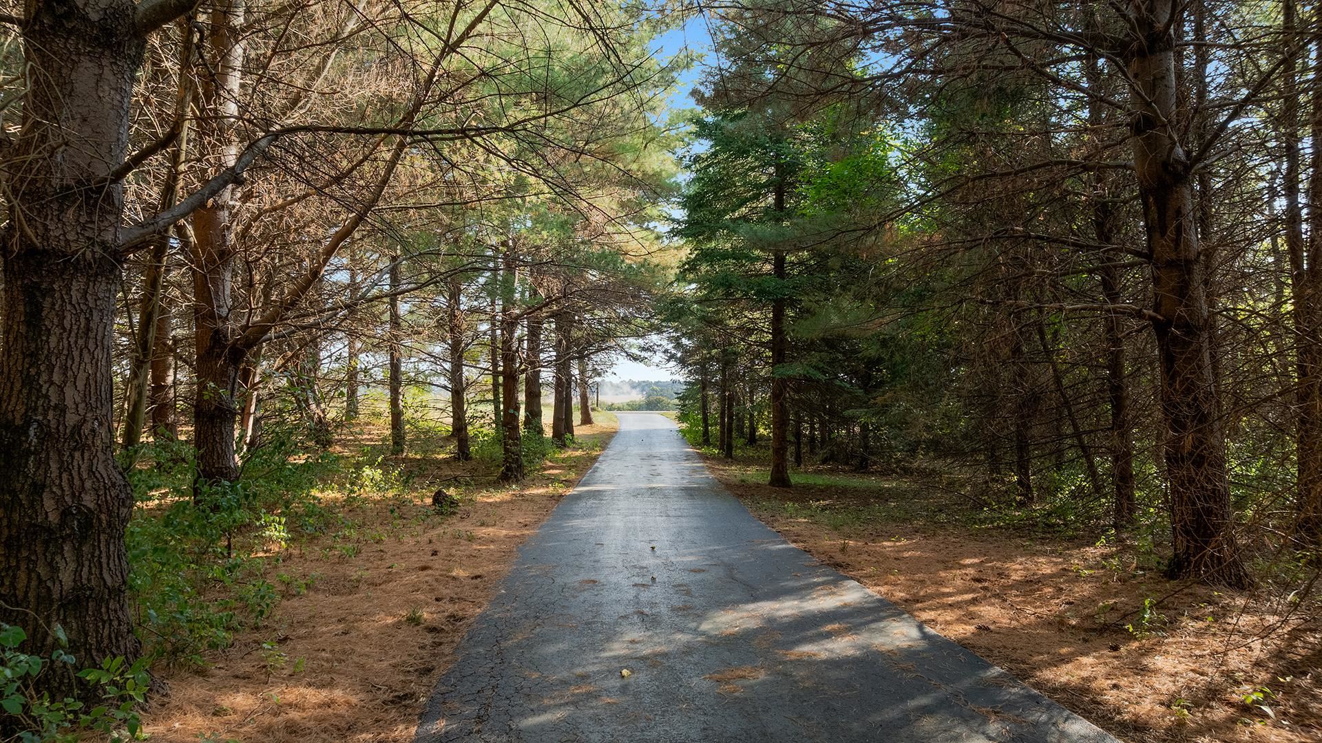 5810 West Lightsville Road Leaf River, IL 61047 - Photo 67 of 68 a view of a street with trees on both side of it