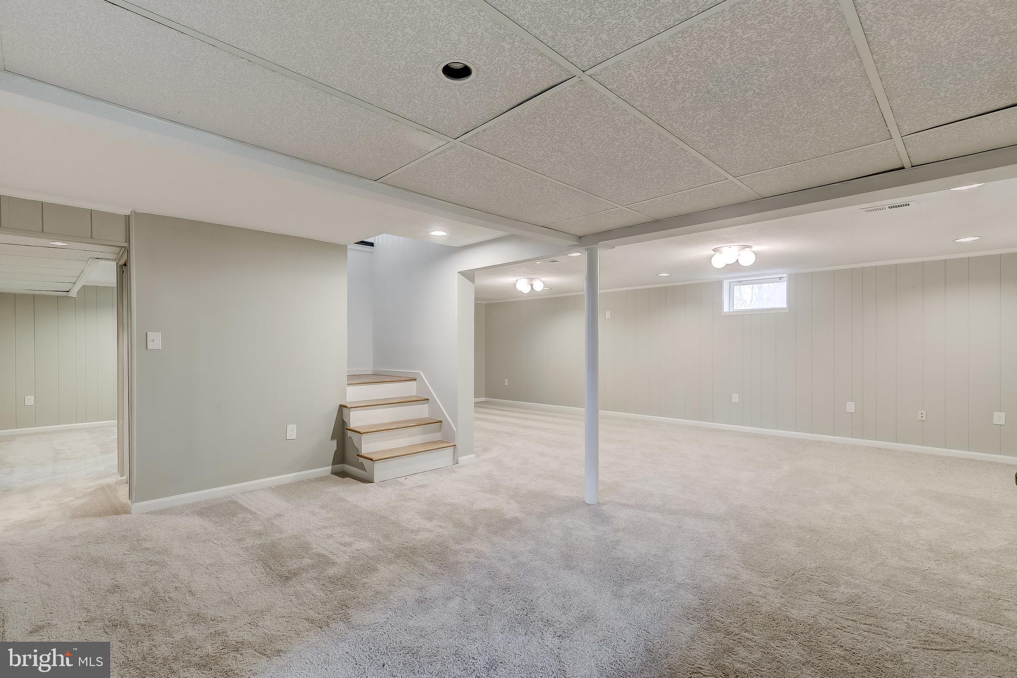 3827 Blenheim Road Phoenix, MD 21131 - Photo 57 of 125 Basement