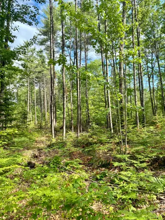$50,000 | Lot 16-2) Lot 16-2) Whittier Road, Farmington, ME 04938
