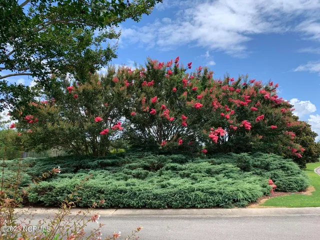 $32,000 | 21 Meadow Lane, Arapahoe, NC 28510