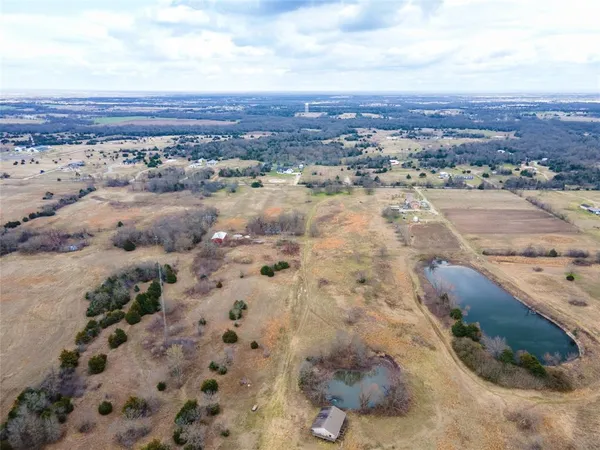 a view of a plants of yard