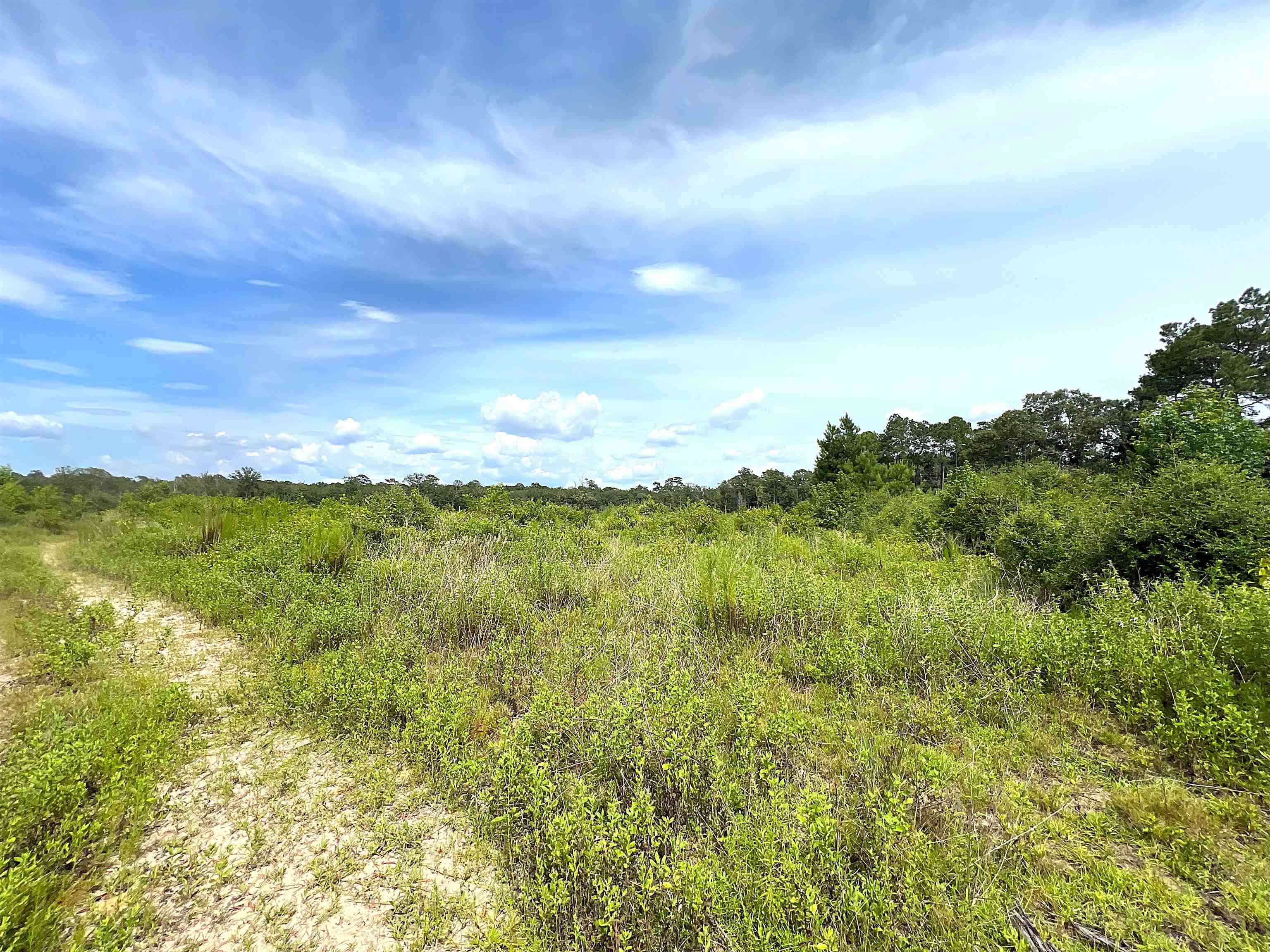 10215 East Gentry Road Silsbee, TX 77656 - Photo 2 of 3
