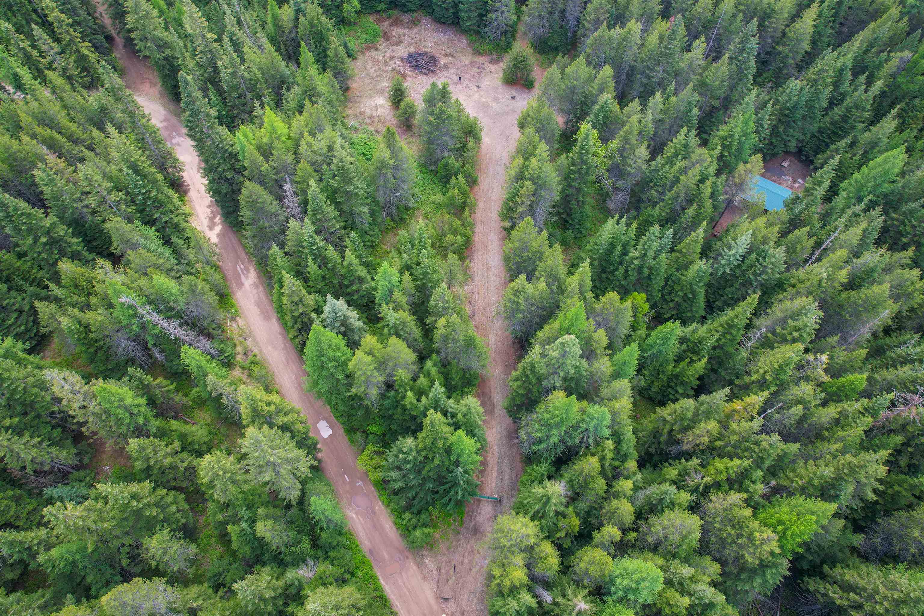 552 Forgotten Trail Newport, WA 99156 - Photo 12 of 18