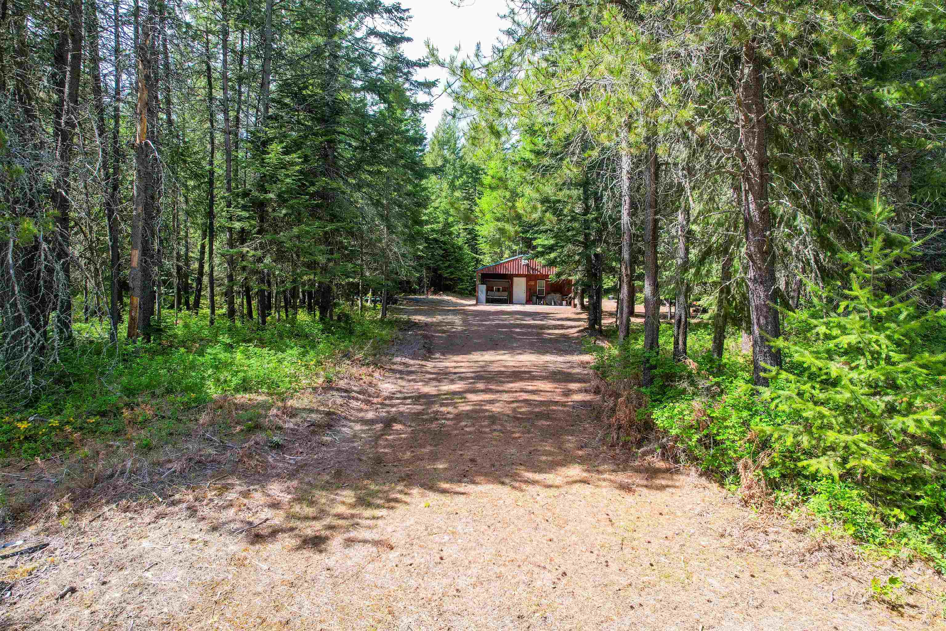 552 Forgotten Trail Newport, WA 99156 - Photo 14 of 18