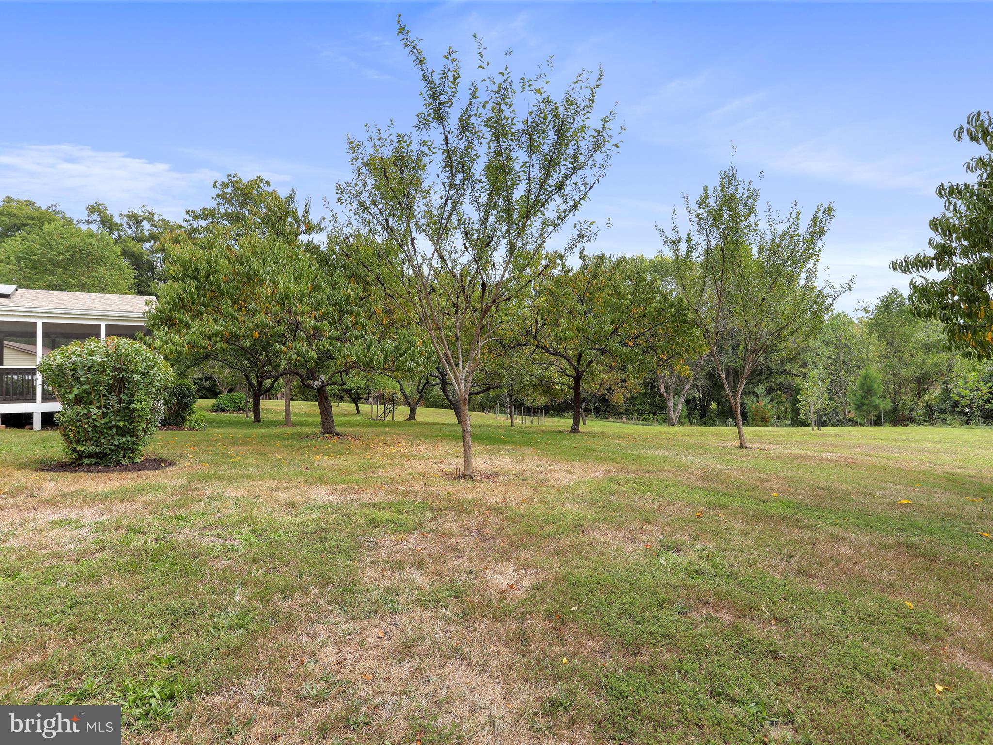 22119 Dickerson School Road Dickerson, MD 20842 - Photo 37 of 52