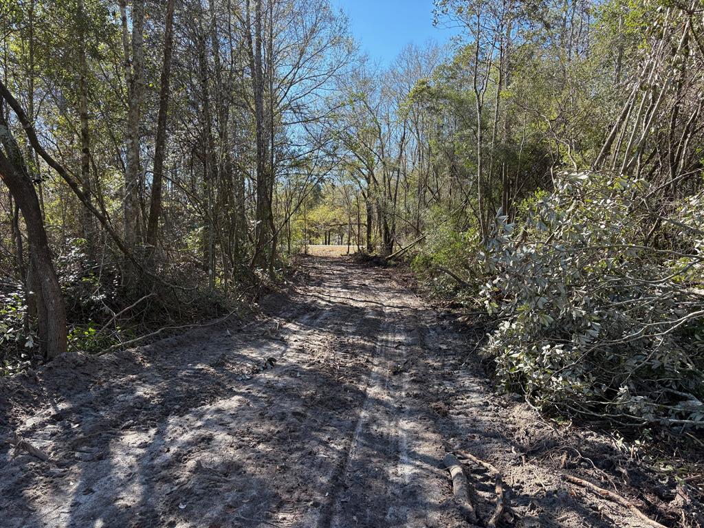 87 Highway 87 Samson, AL 36477 - Photo 33 of 47