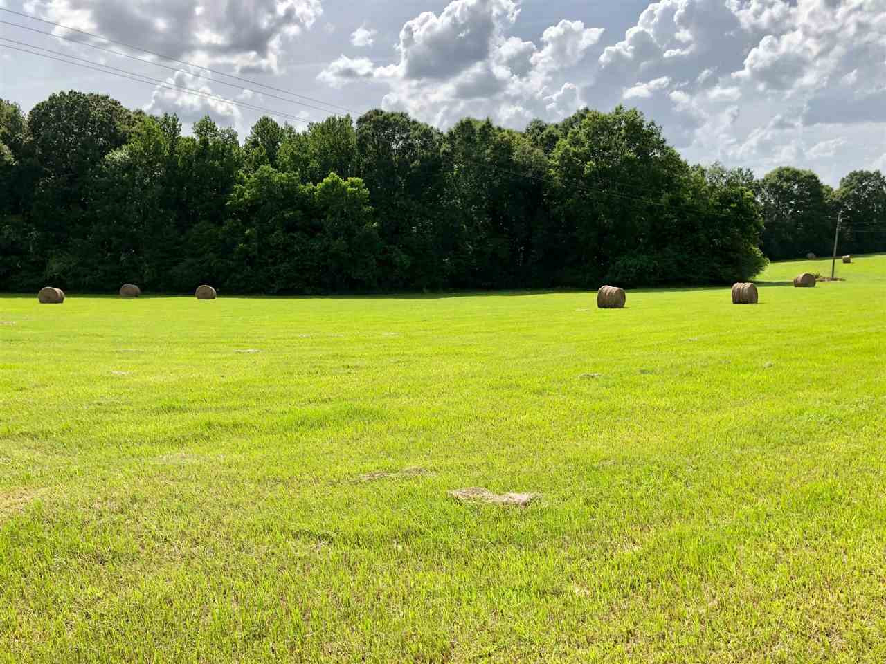 0 Midway Road, Unit NA Carthage, MS 39051 - Photo 3 of 23 Photo 3