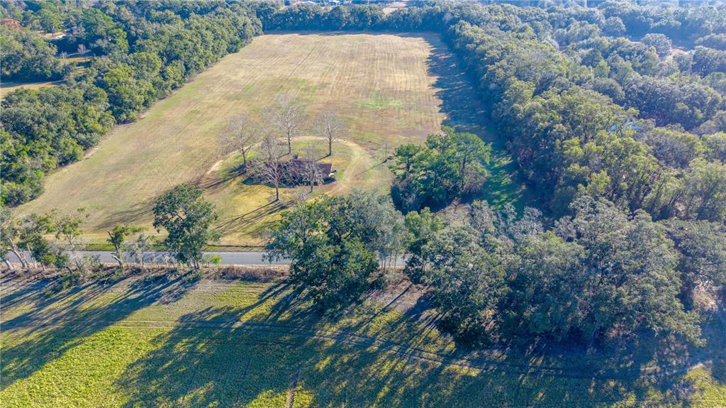 0 Southwest 202nd Street Newberry, FL 32669 - Photo 7 of 12