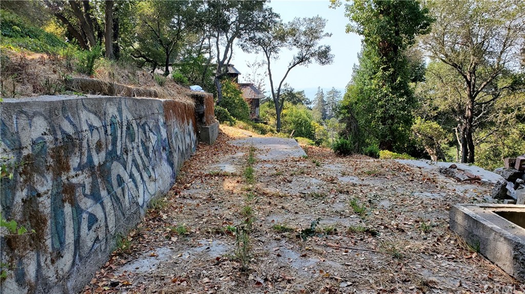 a view of a yard with large trees