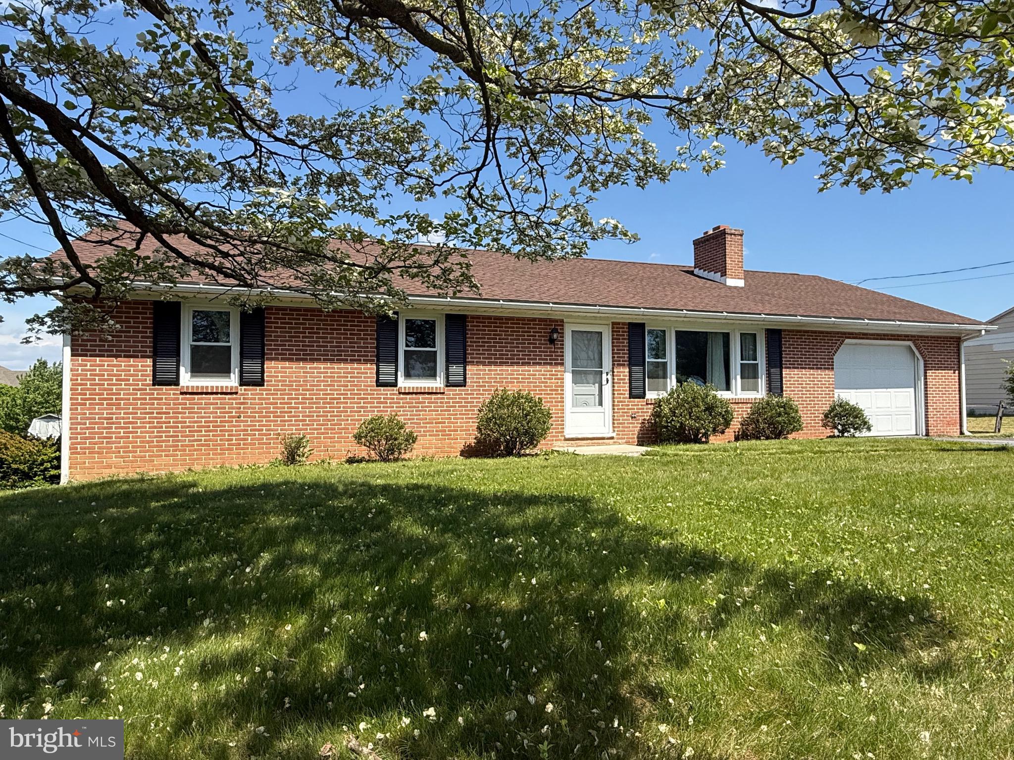 Front under a Dogwood Tree