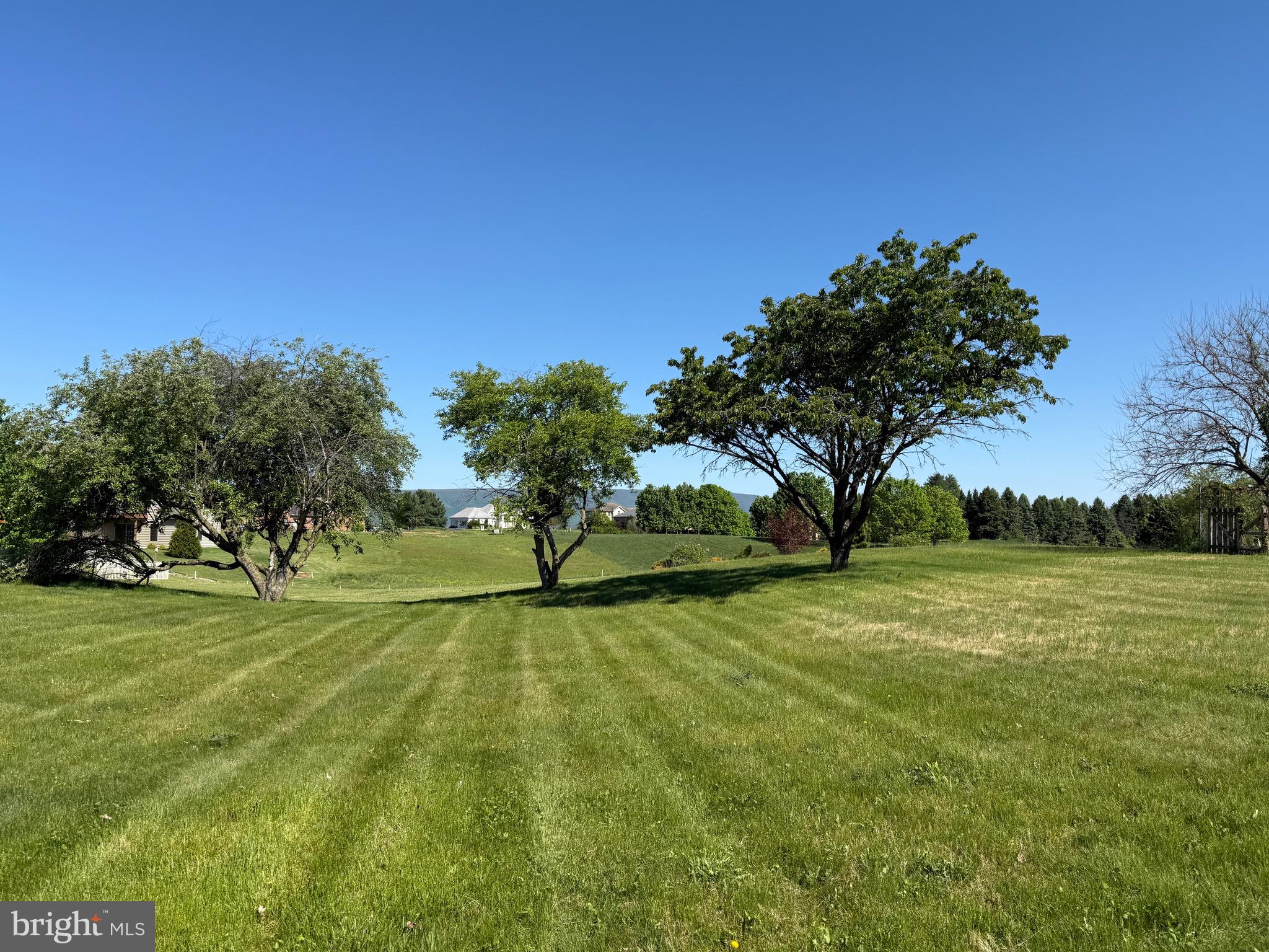 1423 Brechbill Road Chambersburg, PA 17202 - Photo 3 of 32 Backyard View