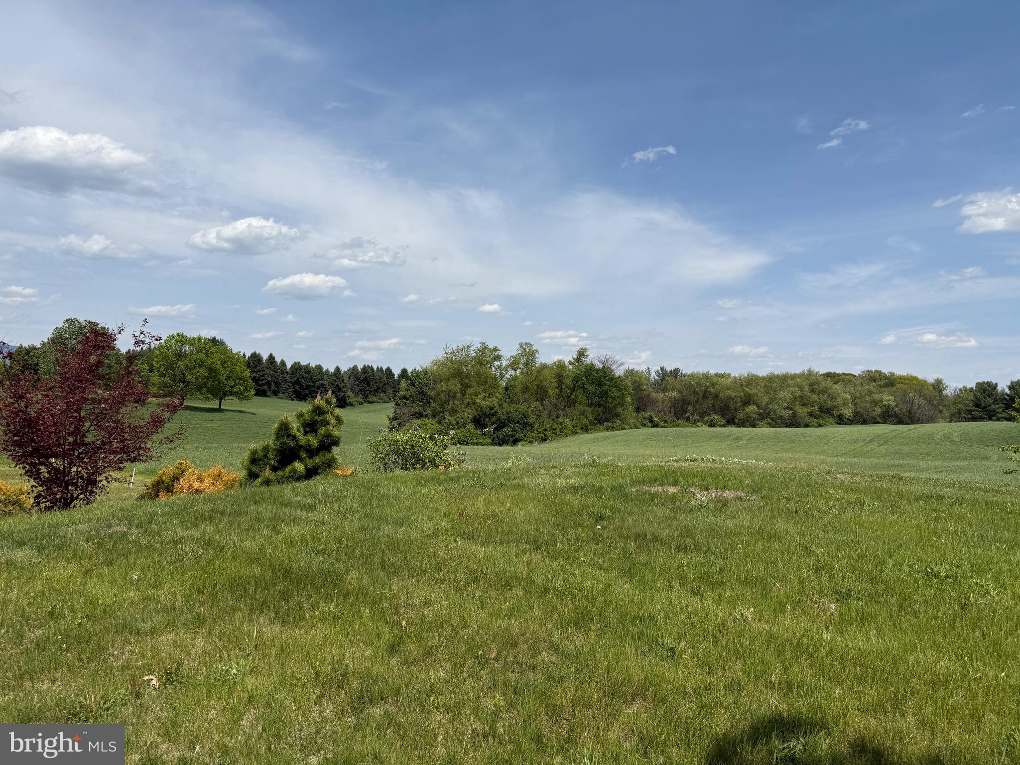 1423 Brechbill Road Chambersburg, PA 17202 - Photo 4 of 32 Backyard View