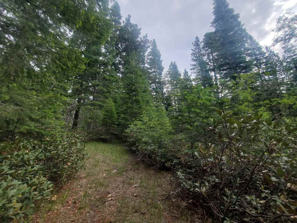 3-i-2 Red Fir Road McCloud, CA 96057 - Photo 10 of 18 Gallery Image 10