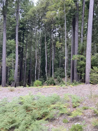 a wooden fence with trees in the background